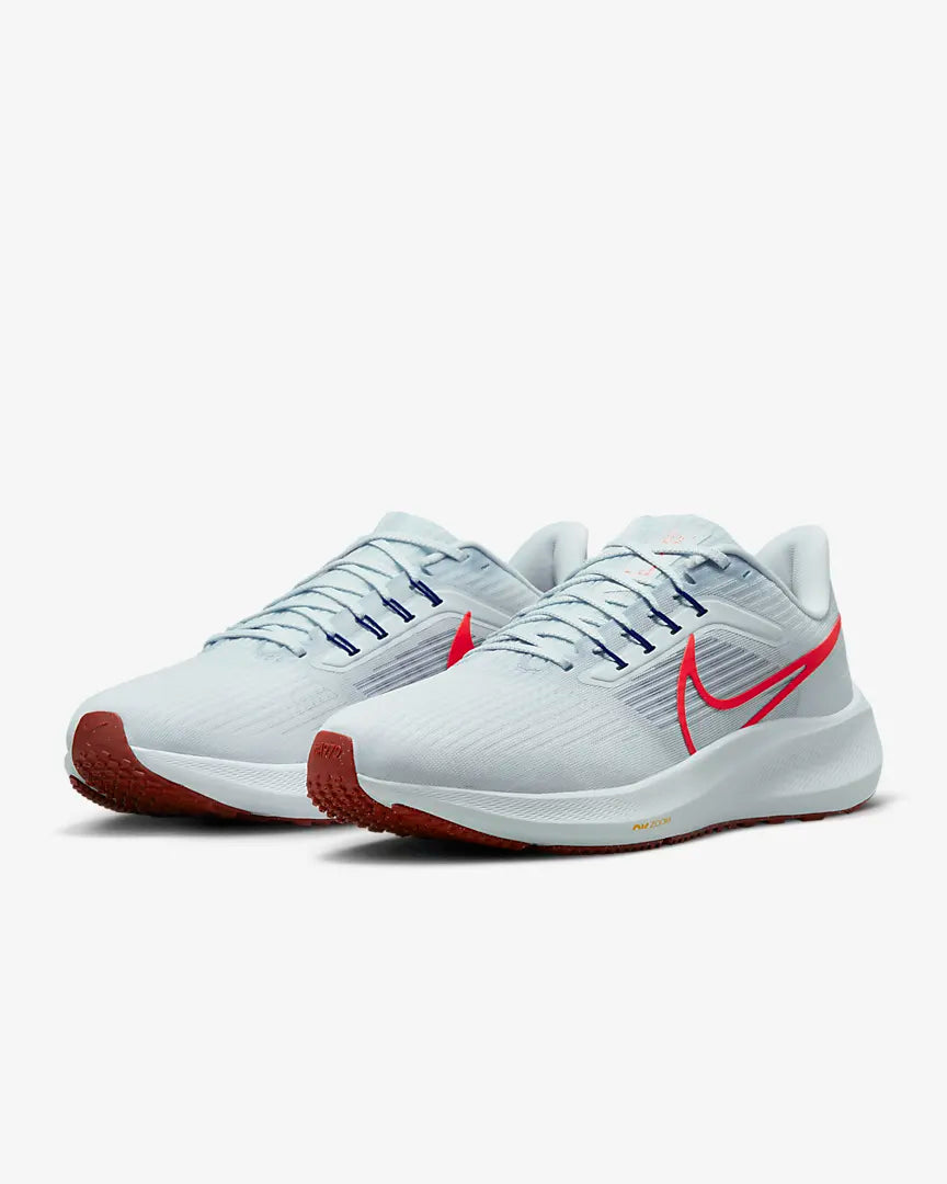 Men's Nike Air Zoom Pegasus 39-DH4071-007