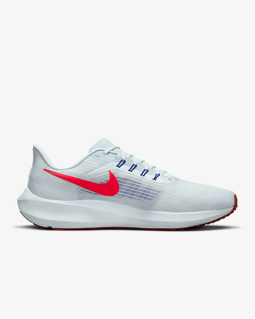  Men's Nike Air Zoom Pegasus 39-DH4071-007