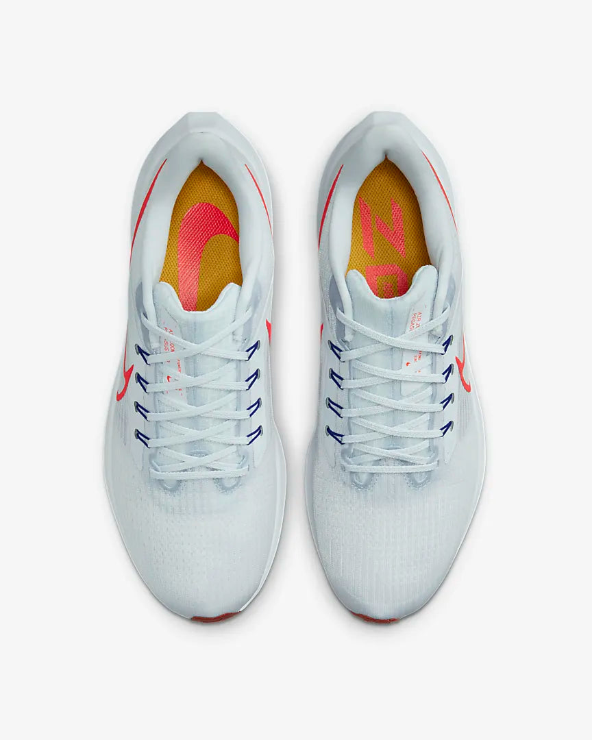  Men's Nike Air Zoom Pegasus 39-DH4071-007
