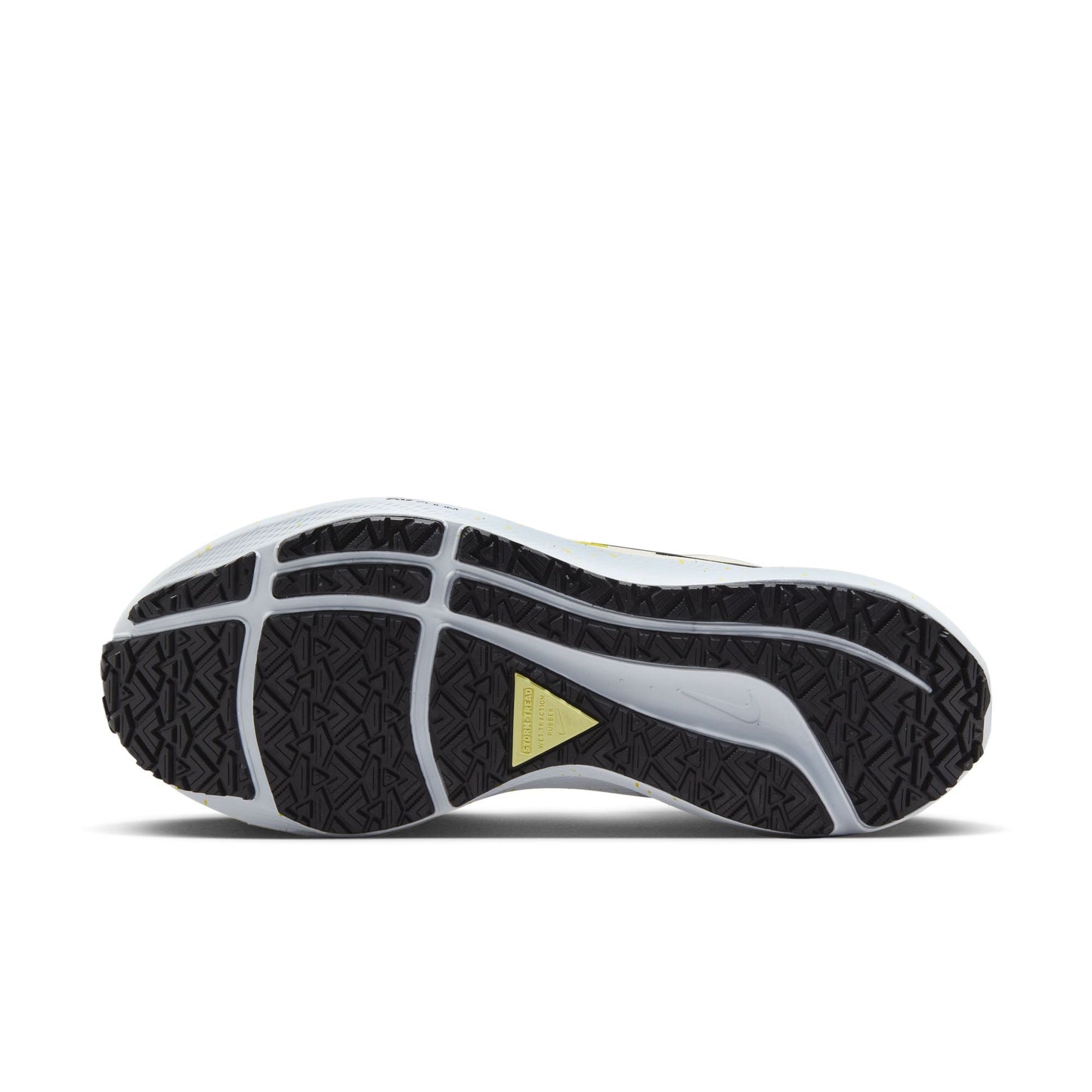  Women's Nike Pegasus 39 Shield - DO7626-100