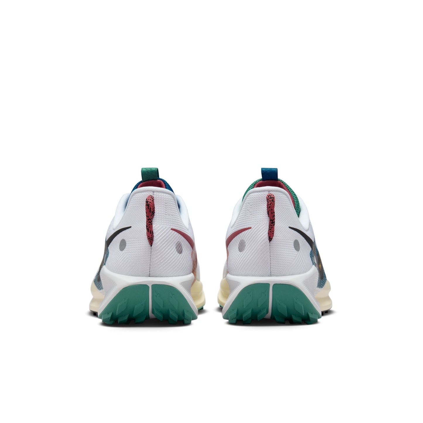  Men's Nike Pegasus Trail 5 - DV3864-100