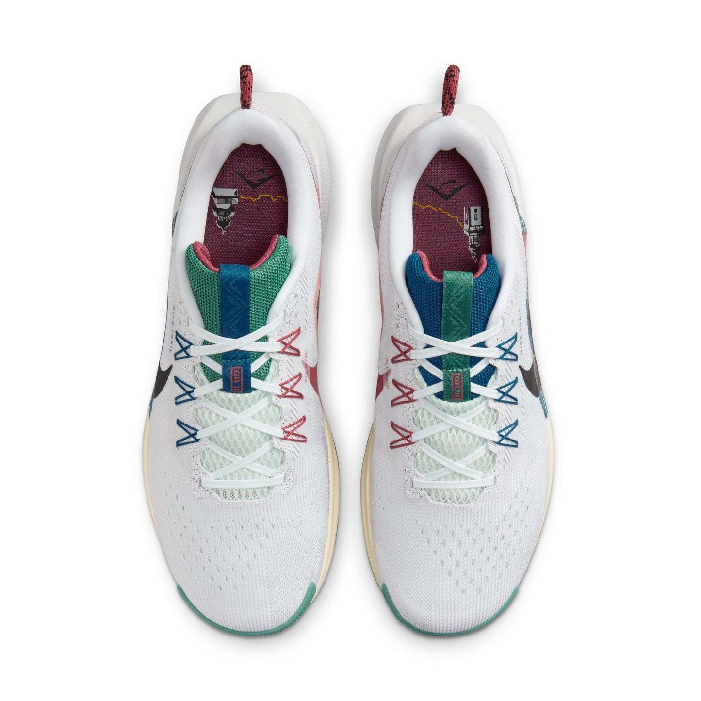  Men's Nike Pegasus Trail 5 - DV3864-100