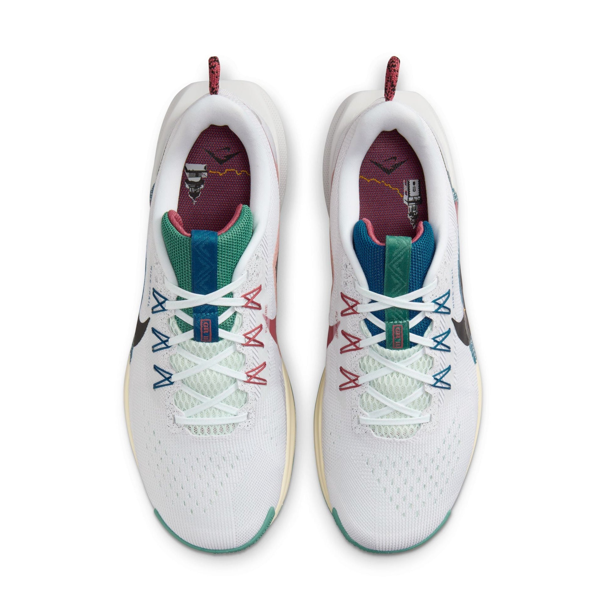  Men's Nike Pegasus Trail 5 - DV3864-100