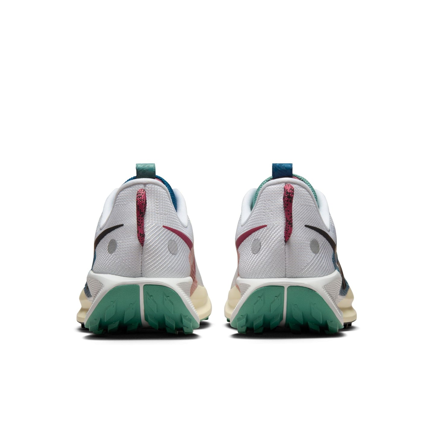  Women's Nike Pegasus Trail 5 -DV3865-100
