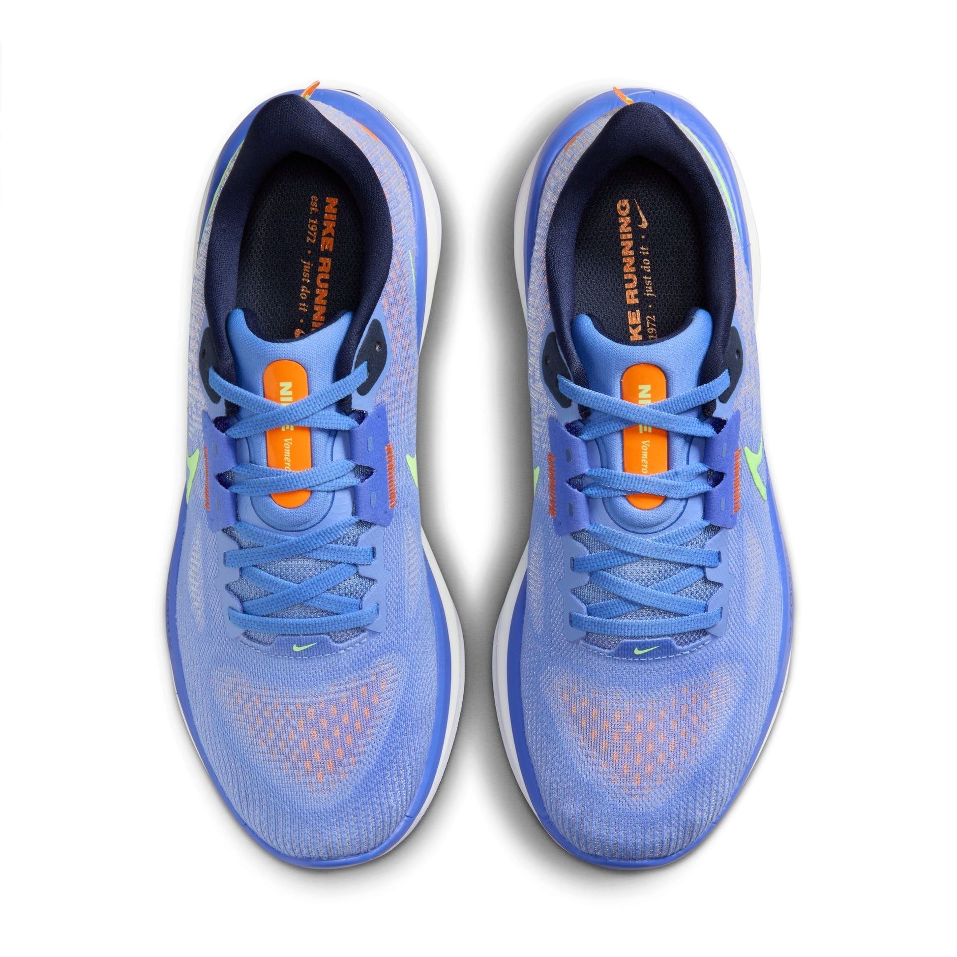  Women's Nike Vomero 17 - FB8502-401