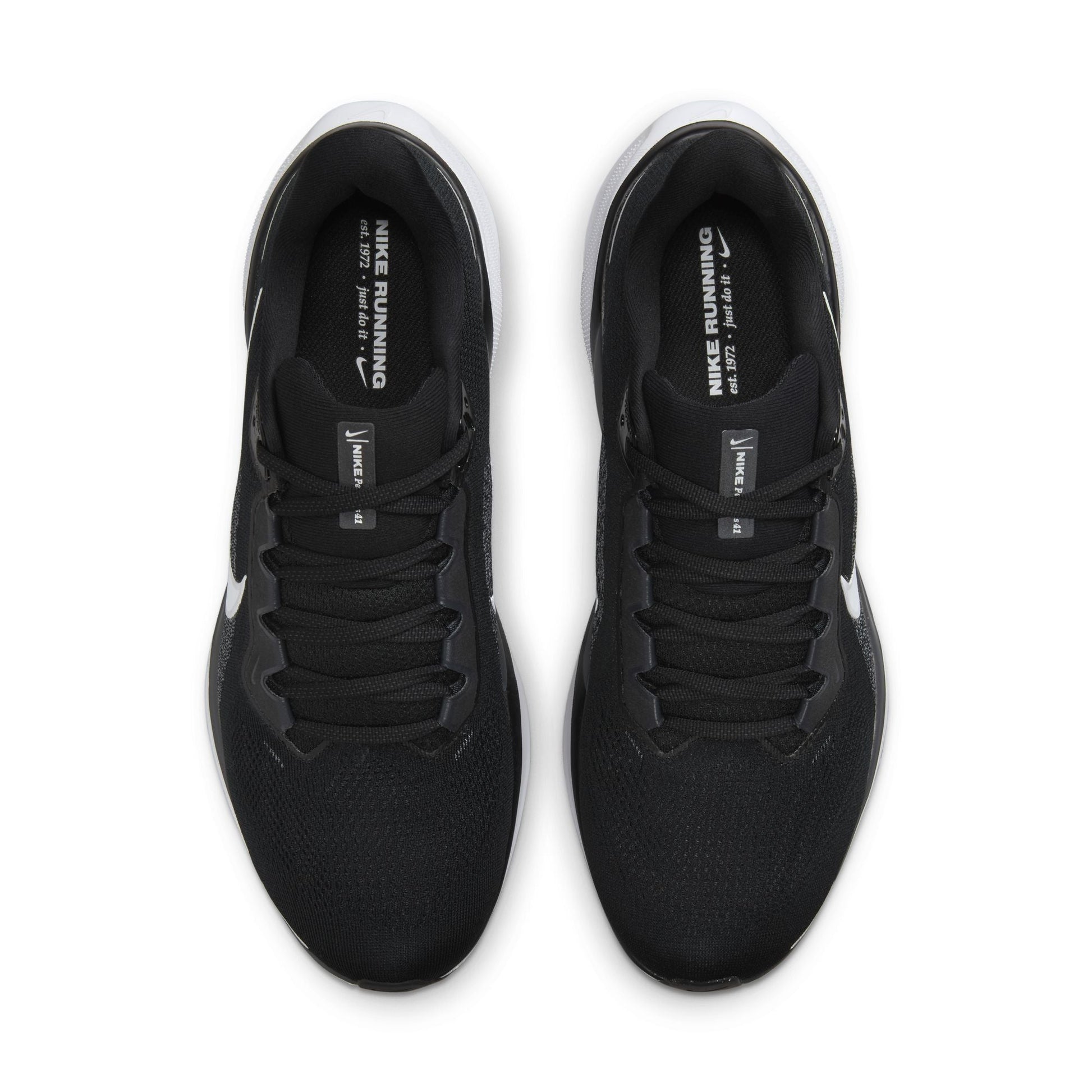  Men's Nike Pegasus 41 - FD2722-002