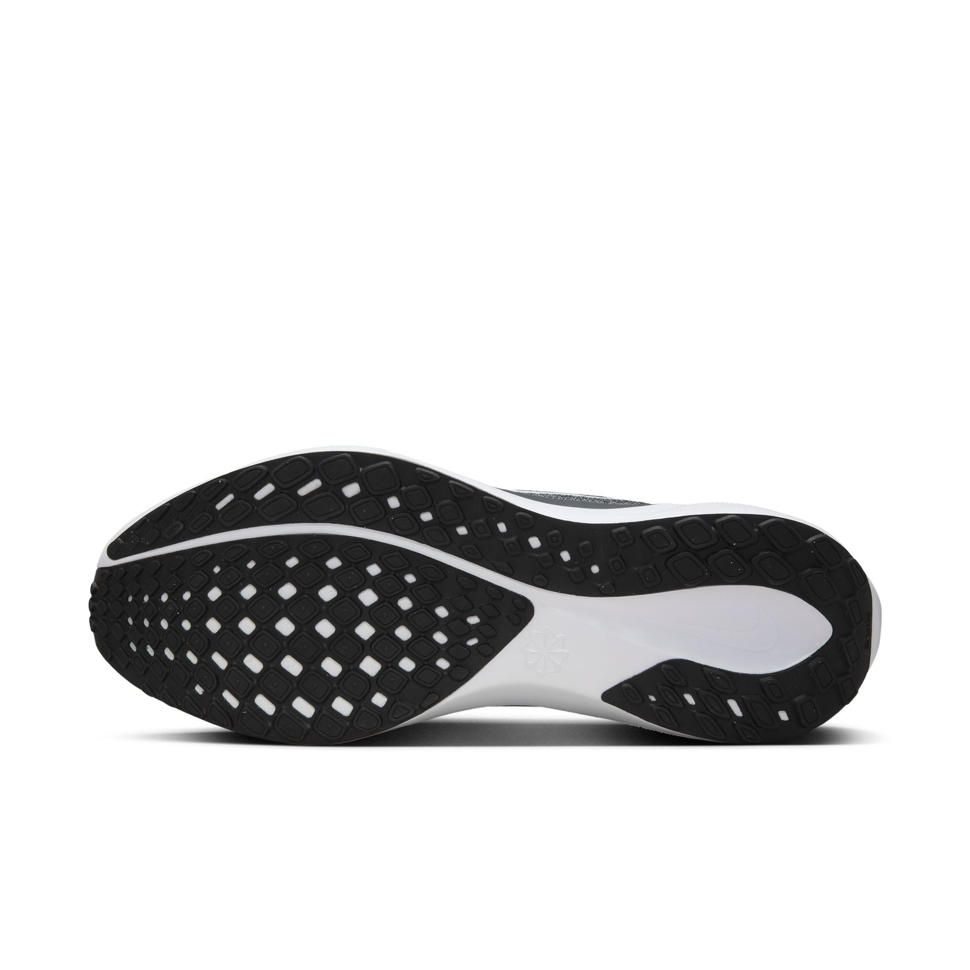  Men's Nike Pegasus 41 - FD2722-002