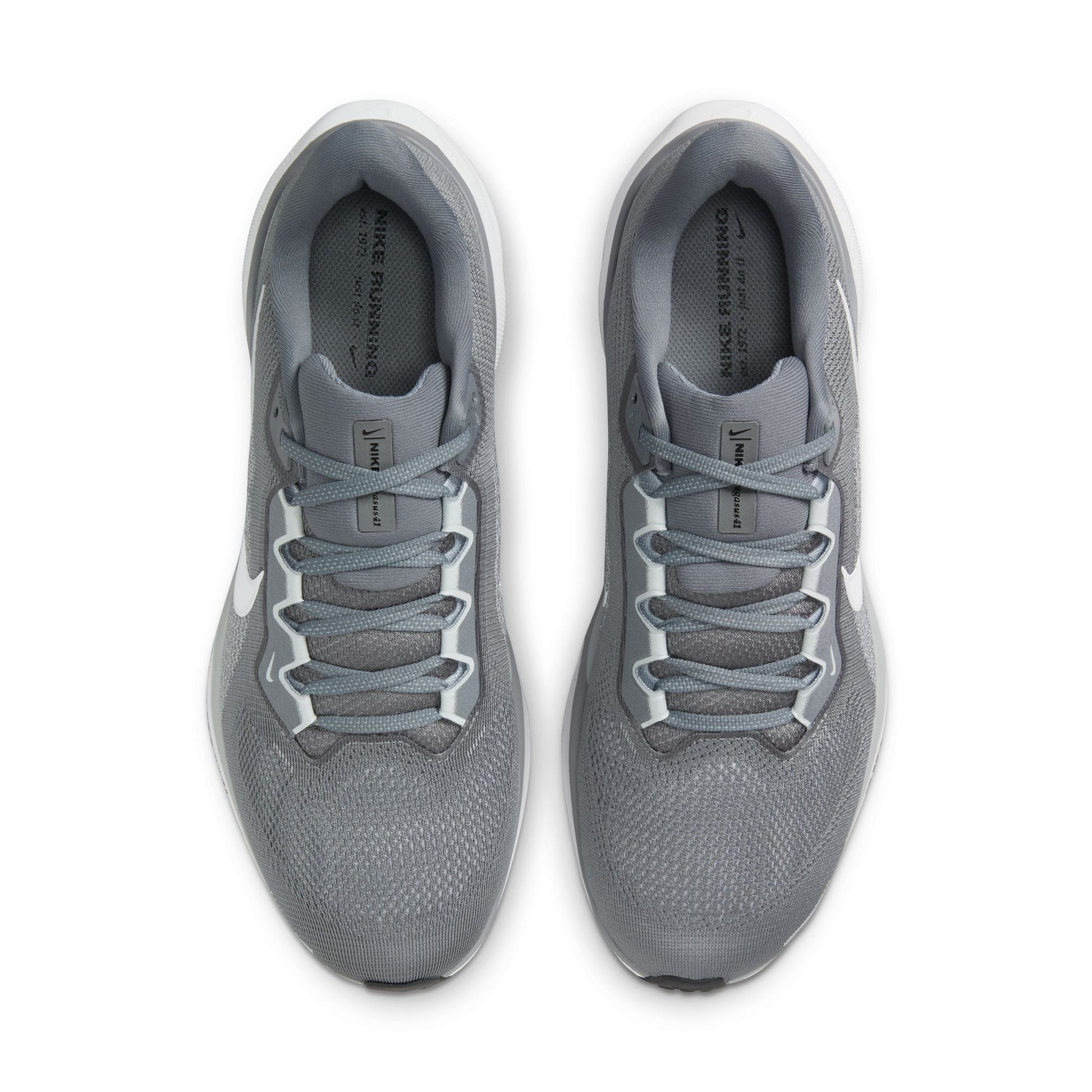  Men's Nike Pegasus 41 - FD2722-009