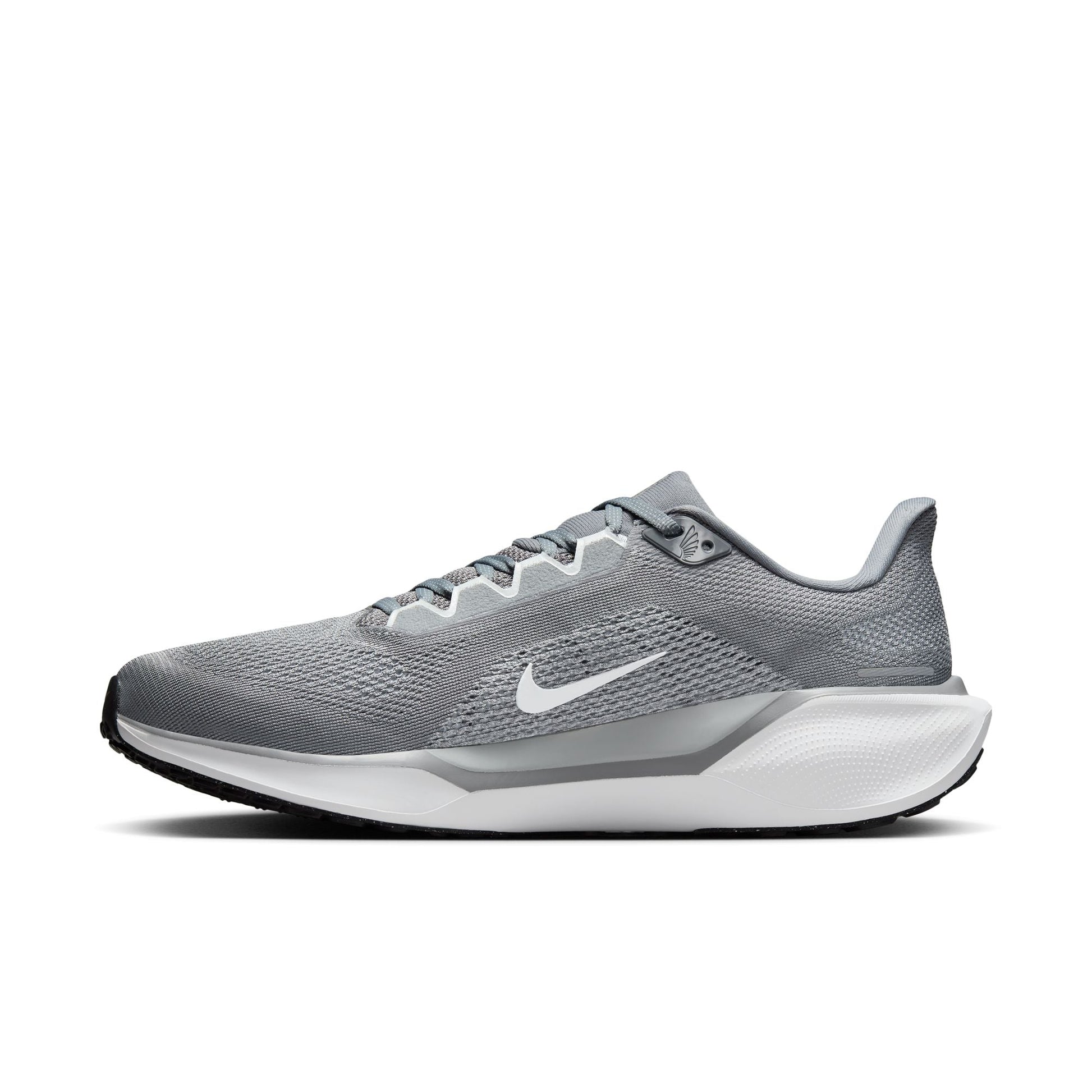  Men's Nike Pegasus 41 - FD2722-009