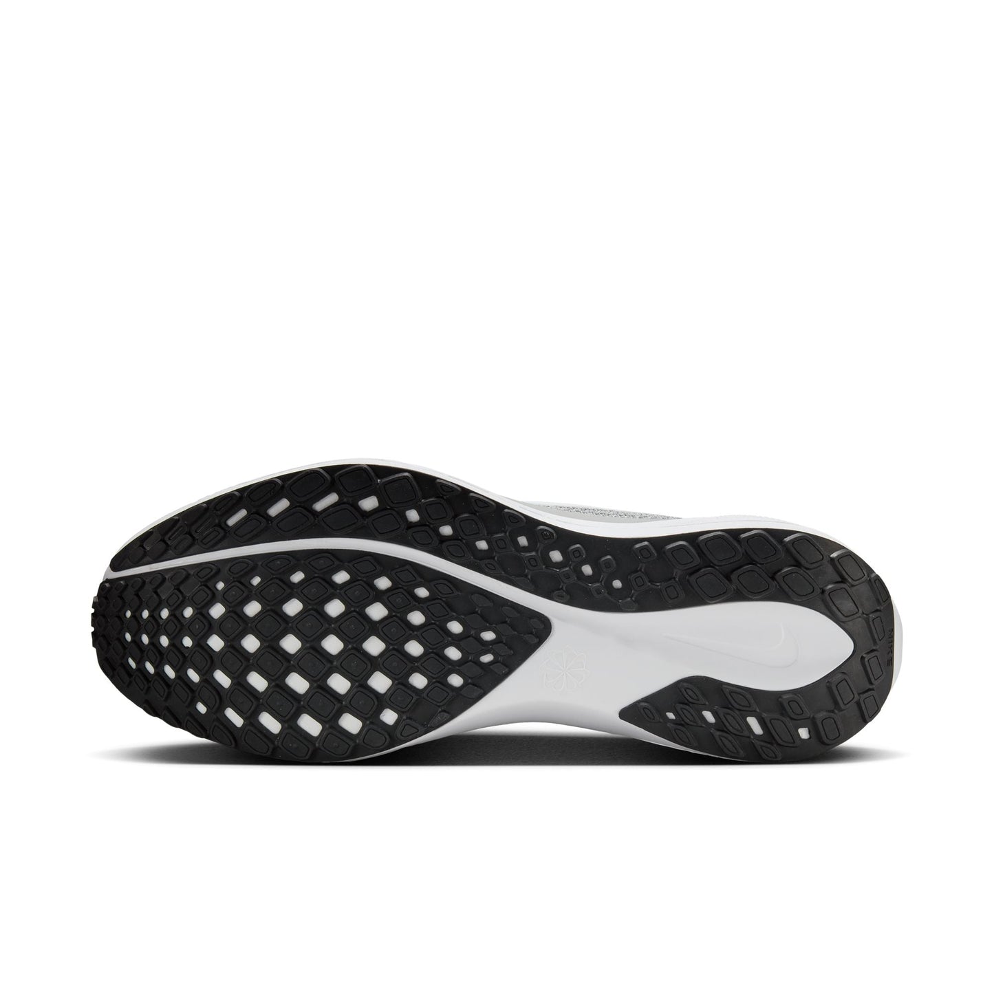  Men's Nike Pegasus 41 - FD2722-009