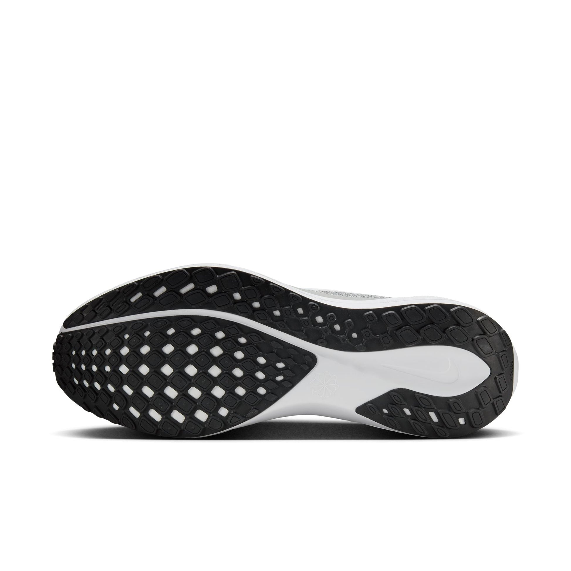  Men's Nike Pegasus 41 - FD2722-009