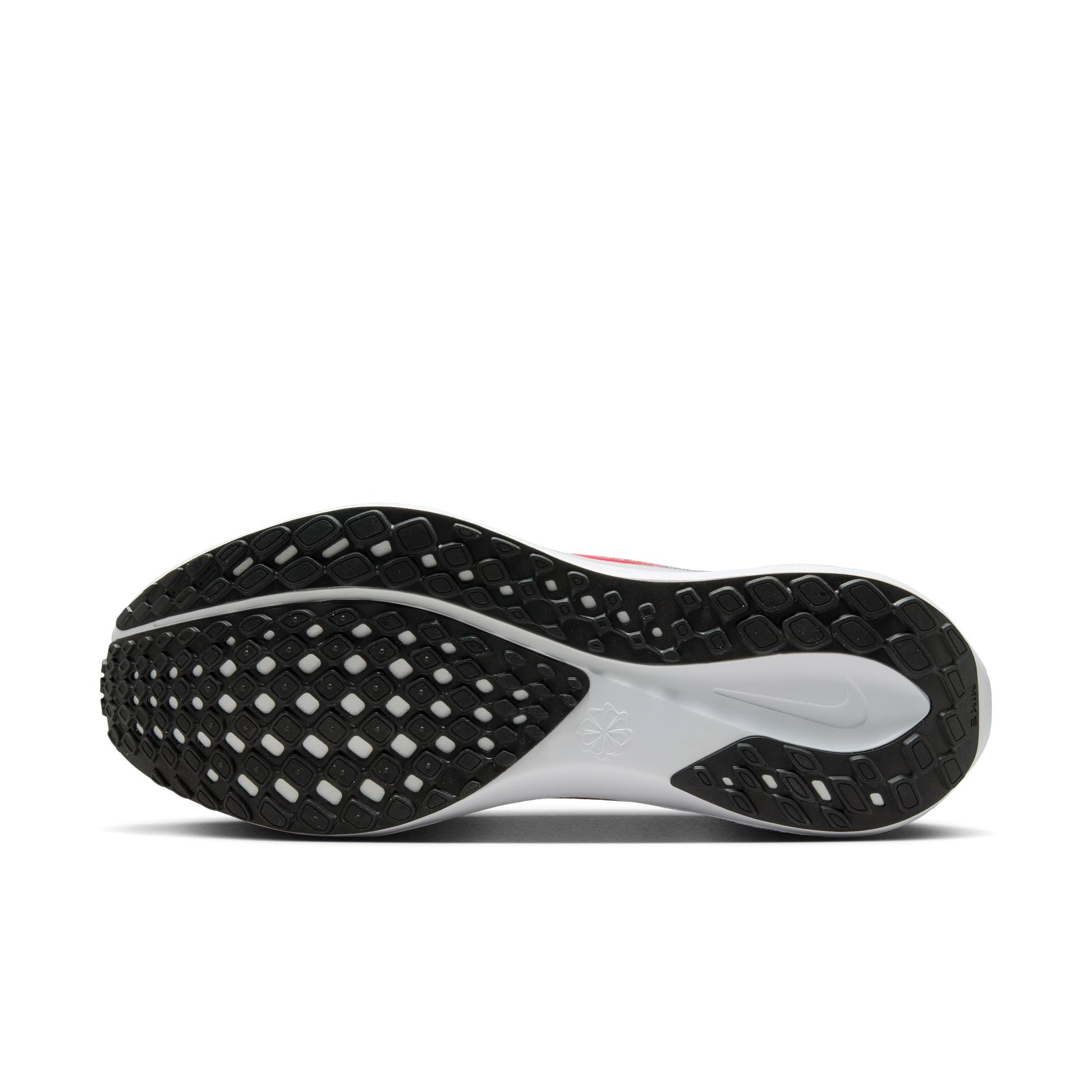  Men's Nike Pegasus 41 - FD2722-013