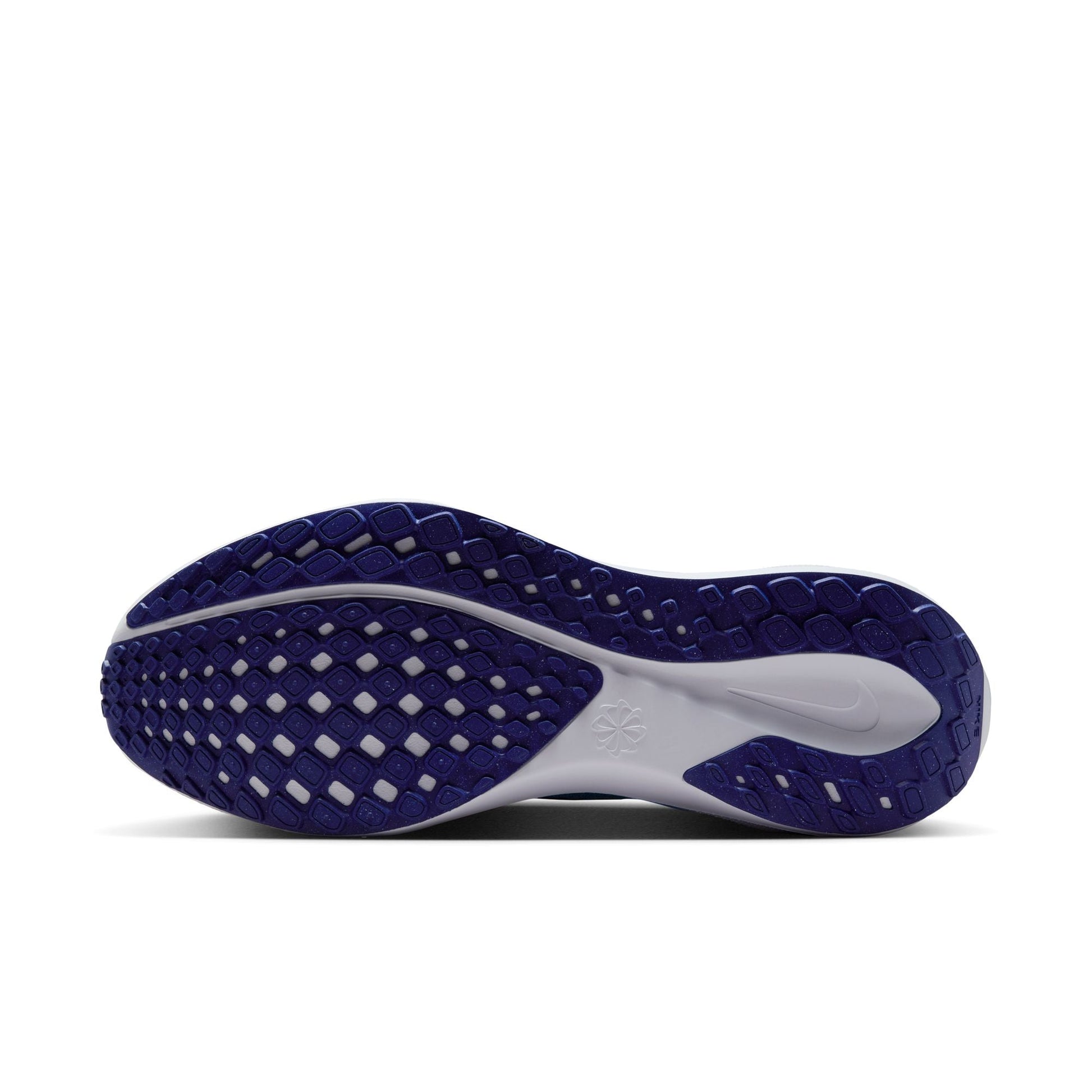  Men's Nike Pegasus 41 - FD2722-014