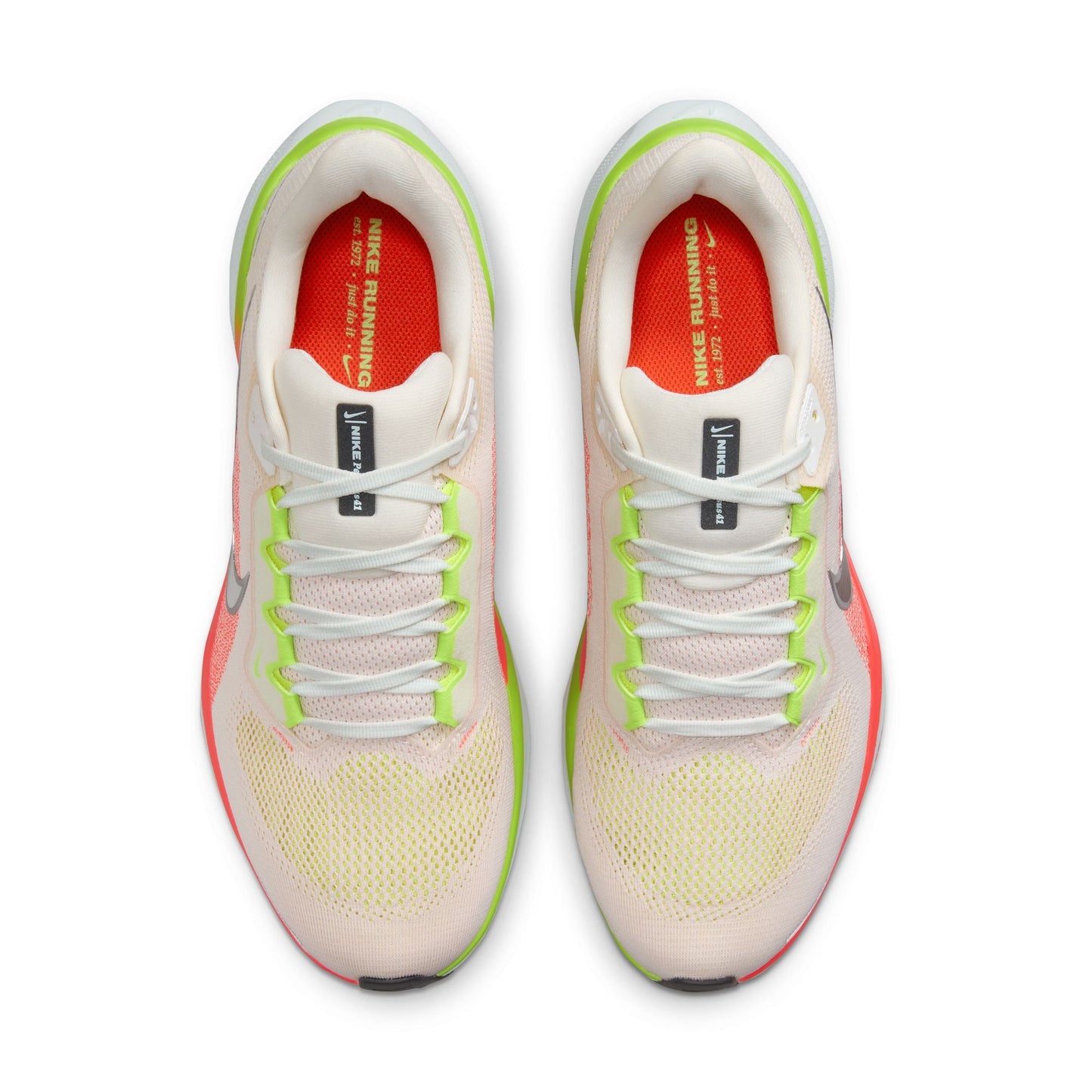  Men's Nike Pegasus 41 - FD2722-100