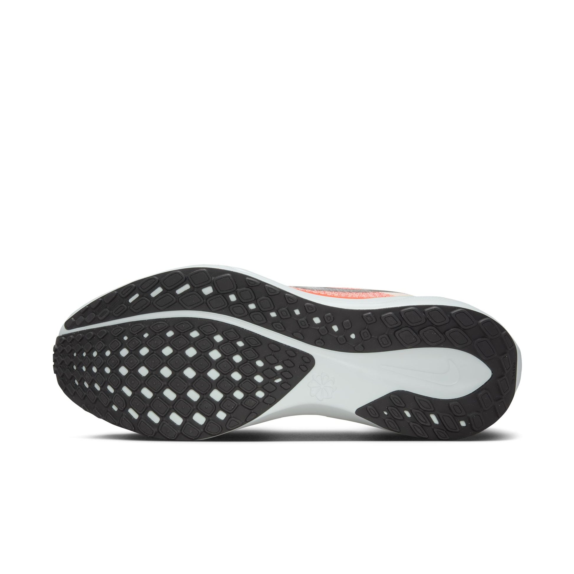  Men's Nike Pegasus 41 - FD2722-100