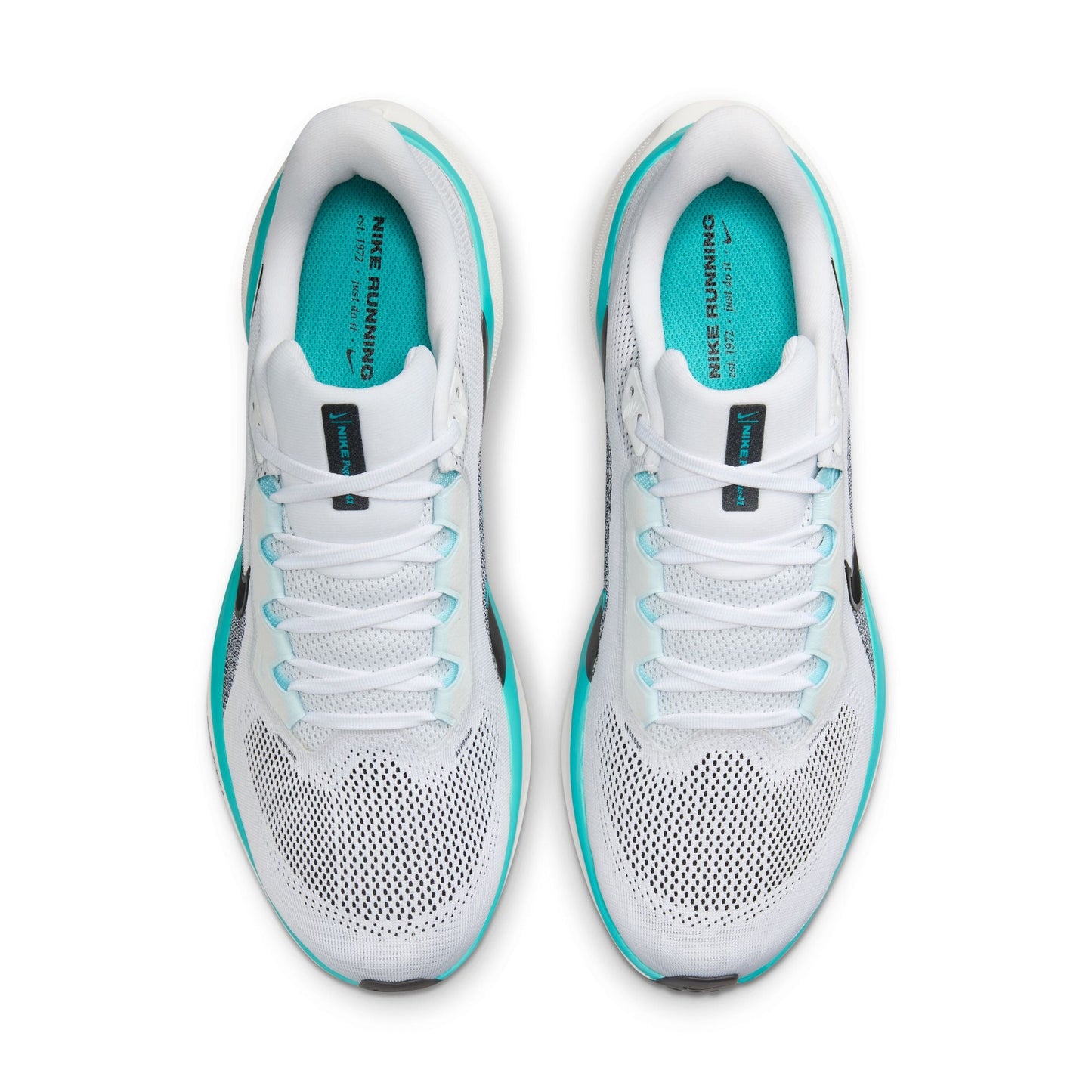  Men's Nike Pegasus 41 - FD2722-103