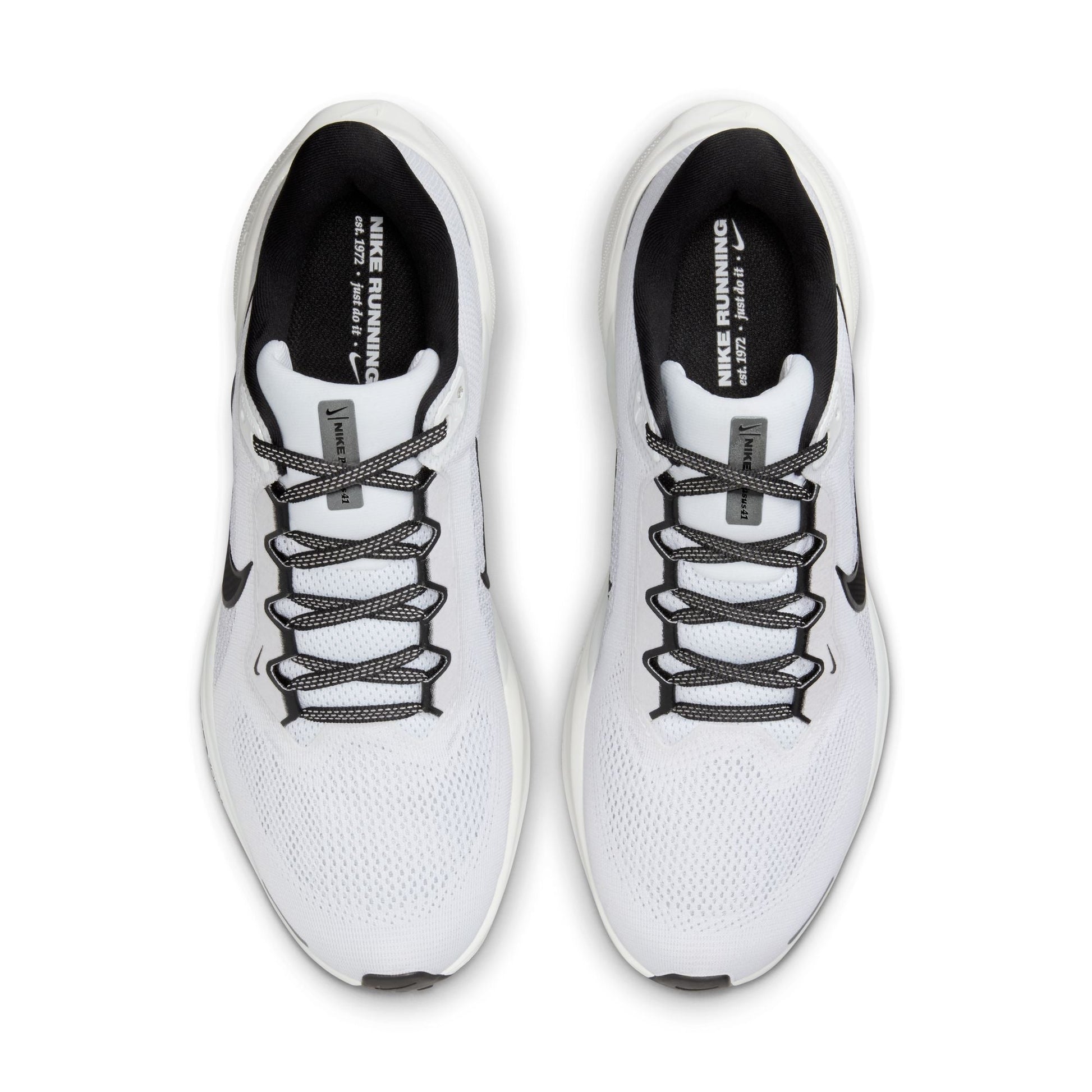 Men's Nike Pegasus 41 - FD2722-105