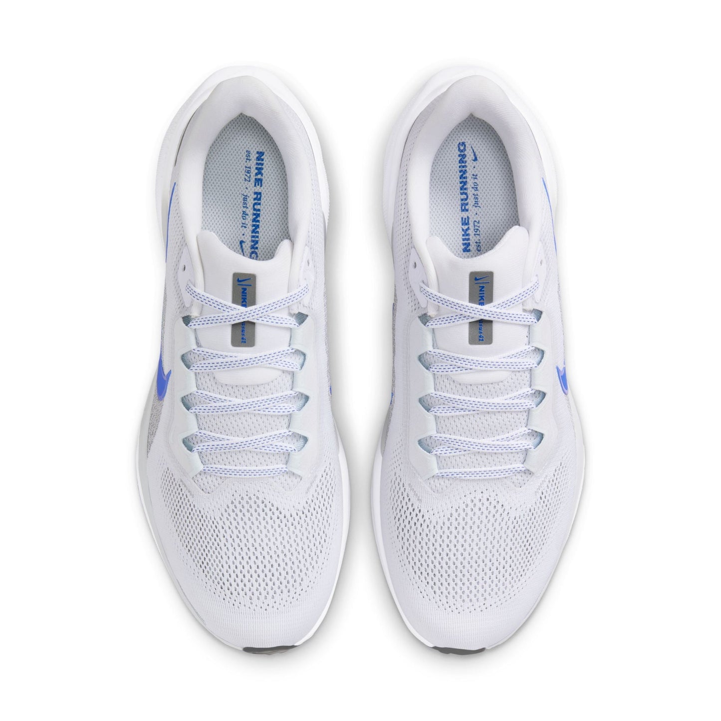  Men's Nike Pegasus 41 - FD2722-110