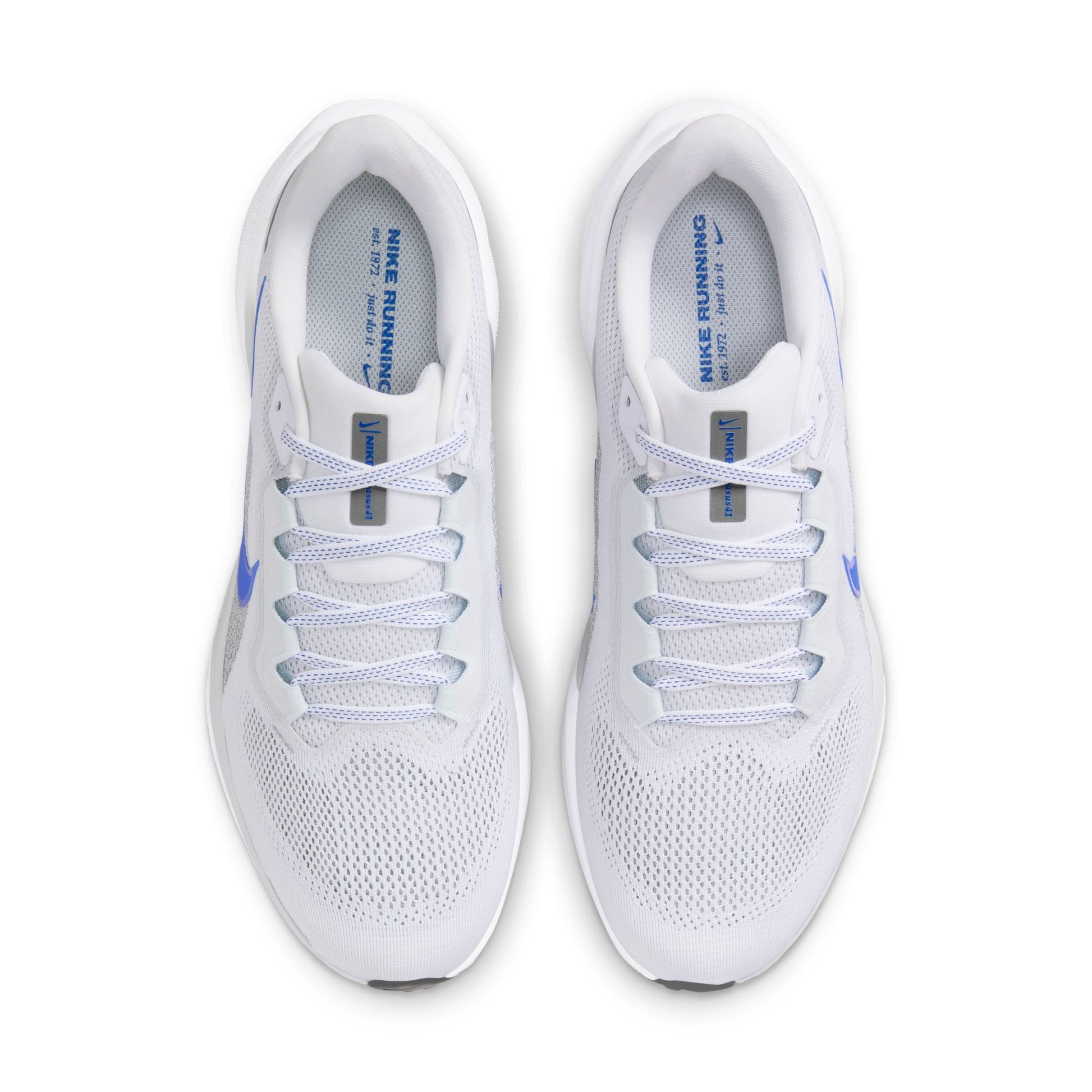  Men's Nike Pegasus 41 - FD2722-110
