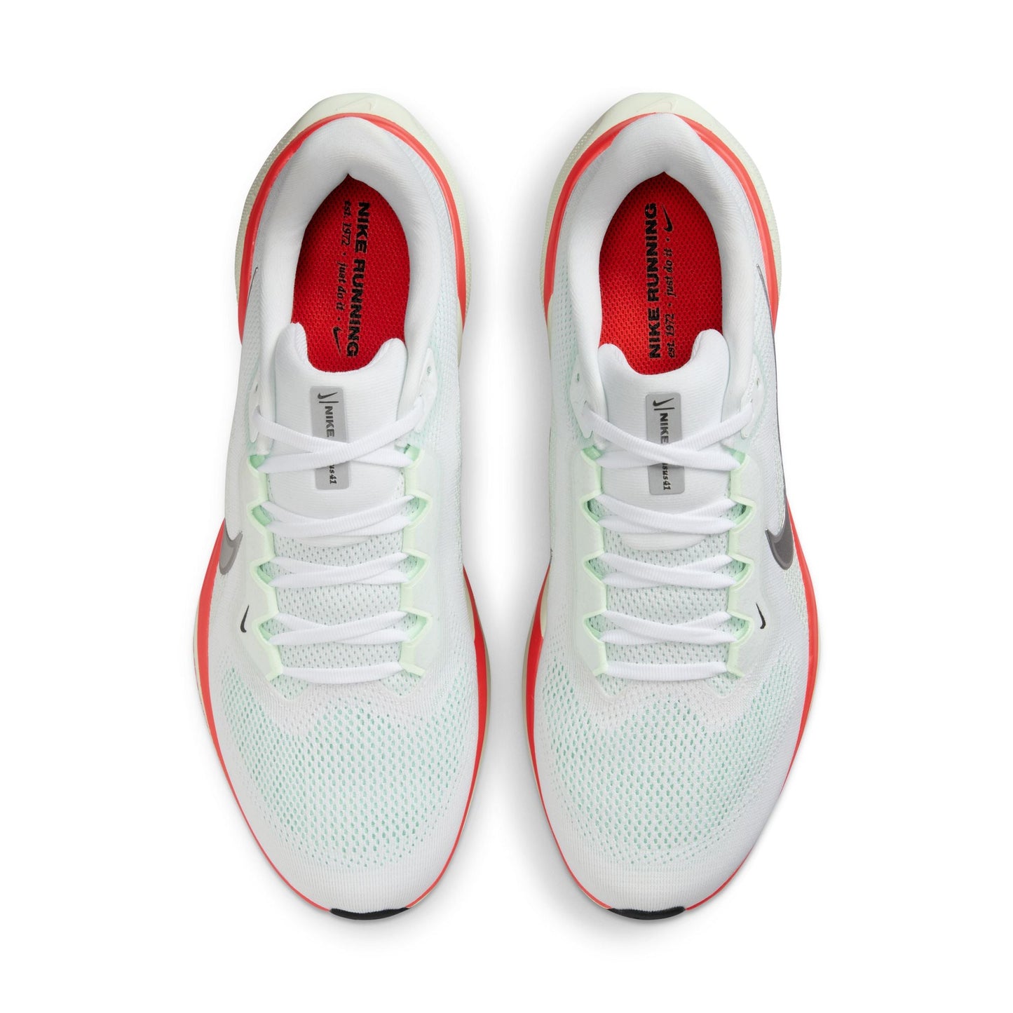  Men's Nike Pegasus 41 - FD2722-115