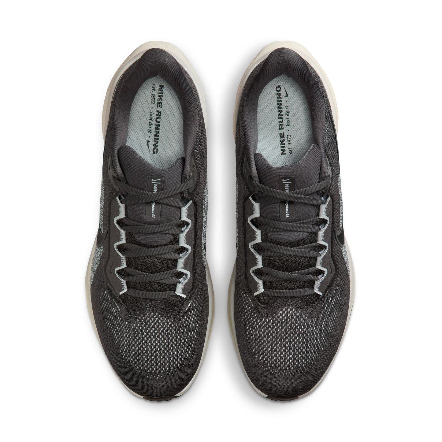  Men's Nike Pegasus 41 - FD2722-215