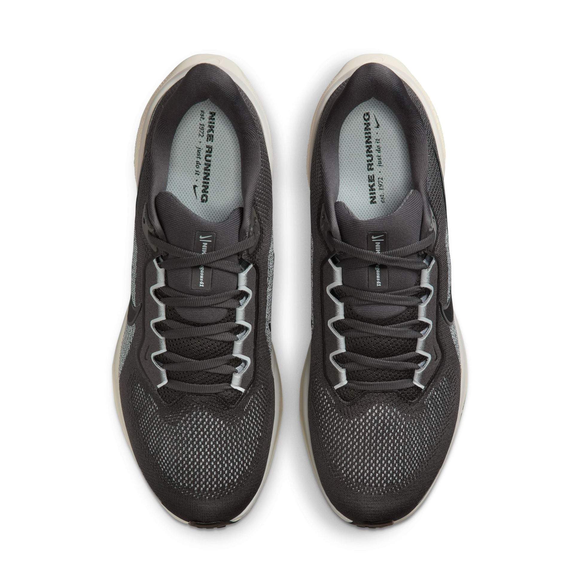  Men's Nike Pegasus 41 - FD2722-215