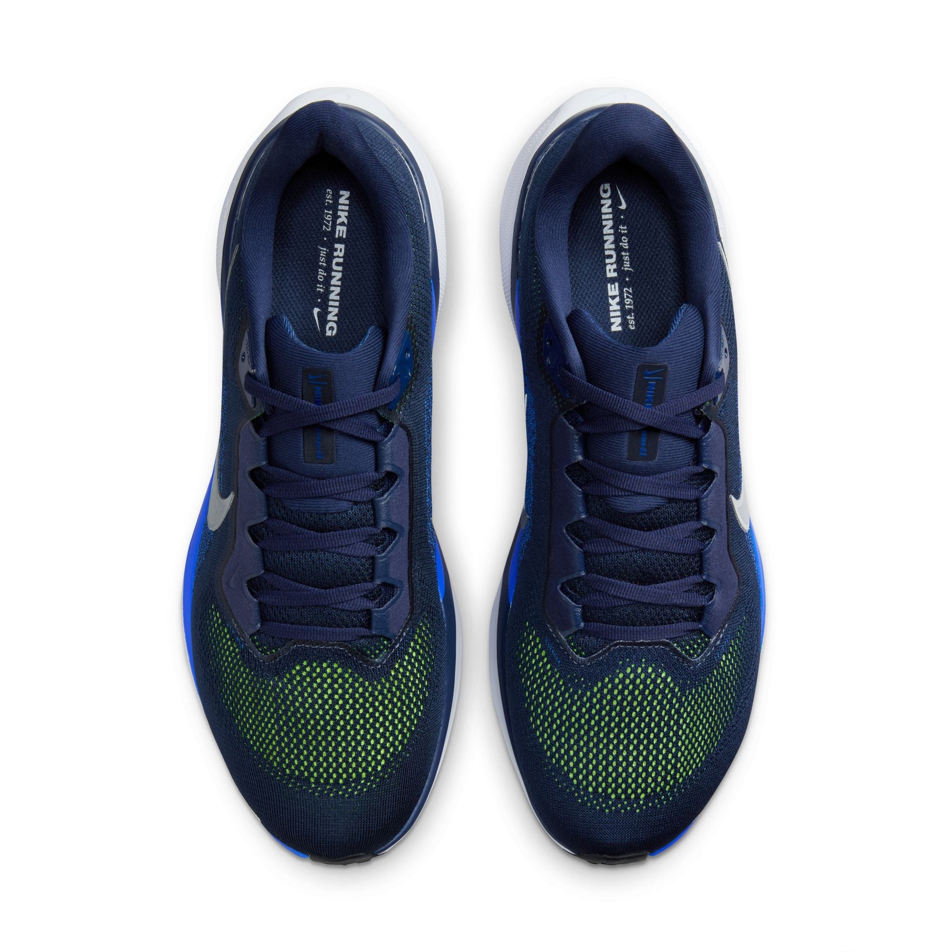  Men's Nike Pegasus 41 - FD2722-400