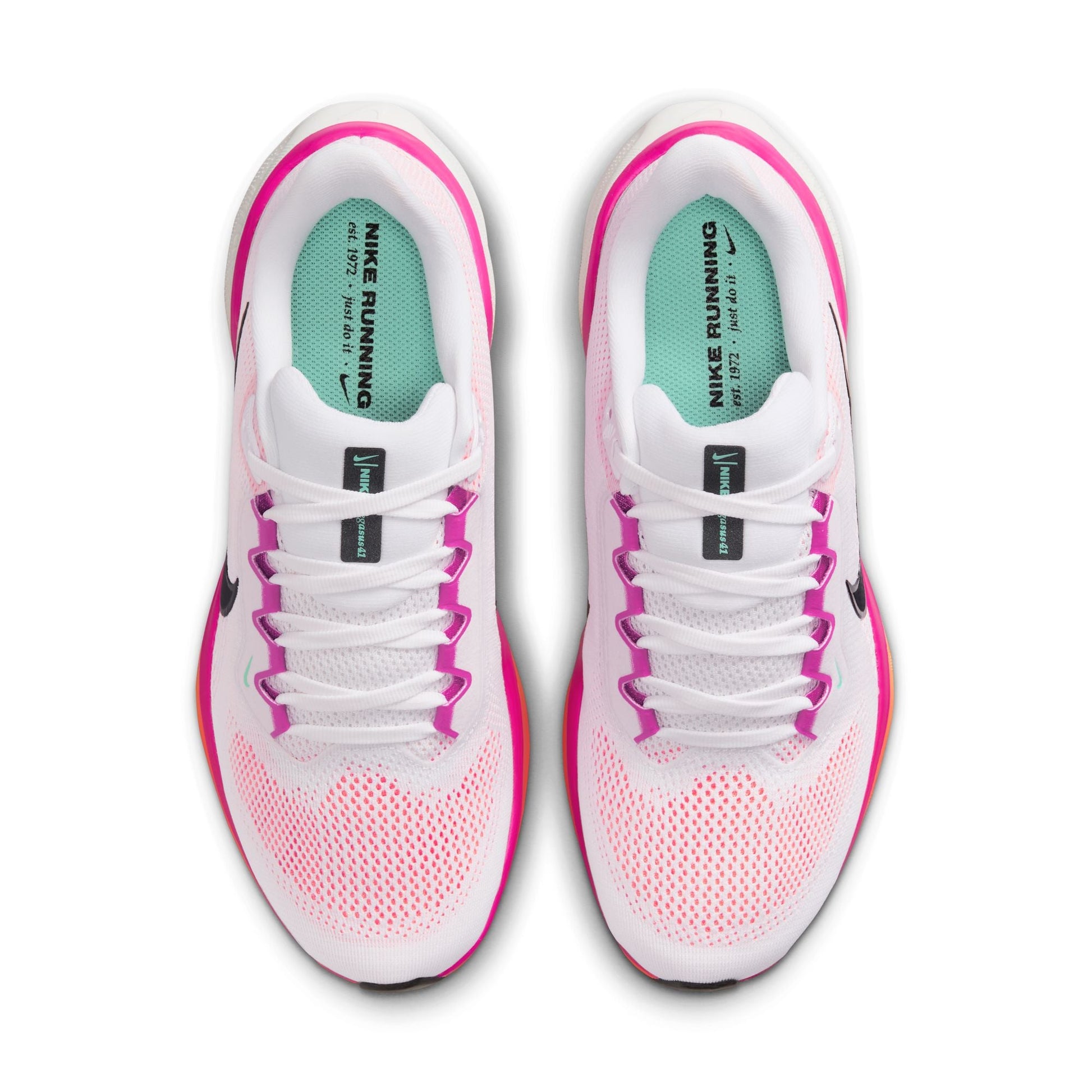  Women's Nike Pegasus 41 - FD2723-120