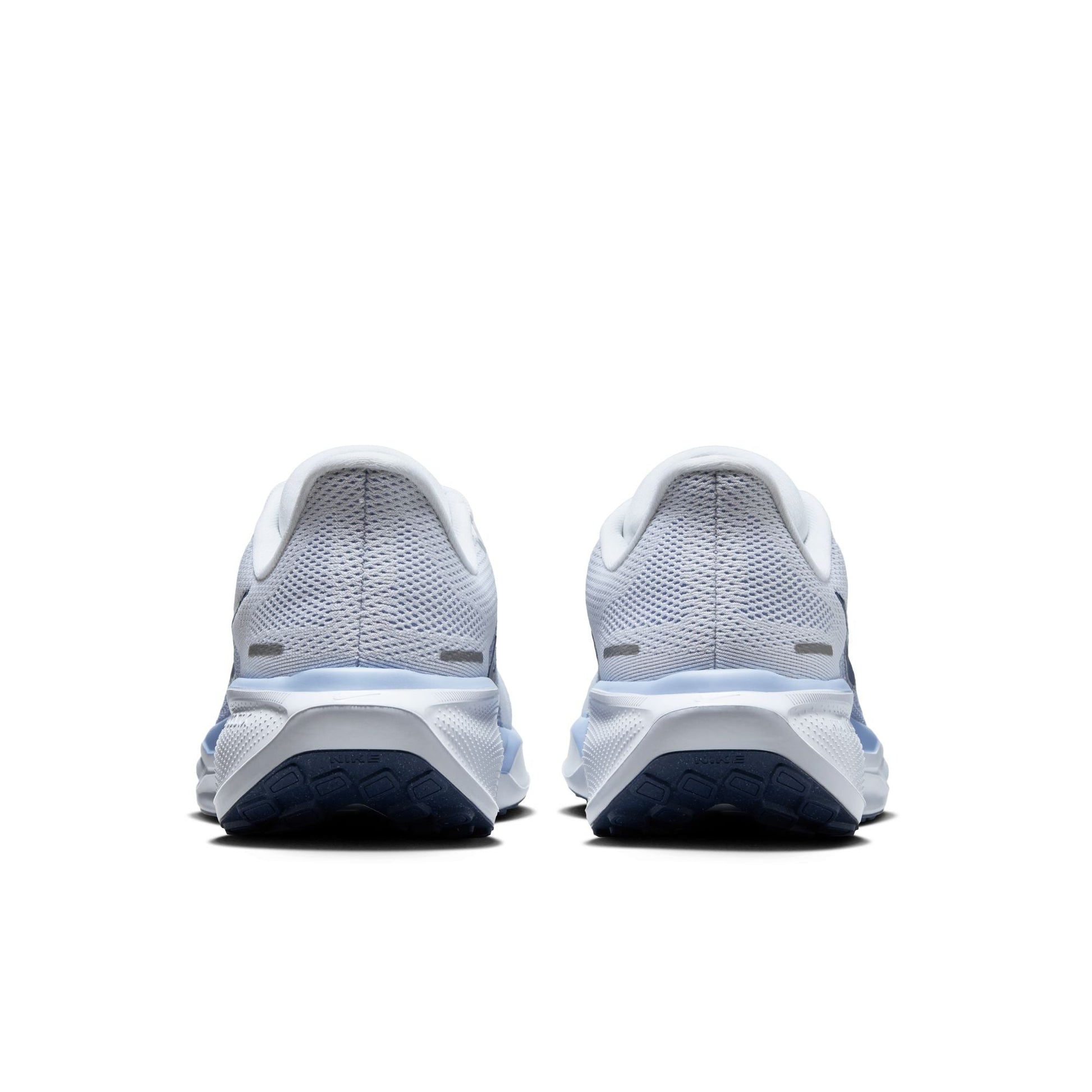  Women's Nike Pegasus 41 - FD2723-125