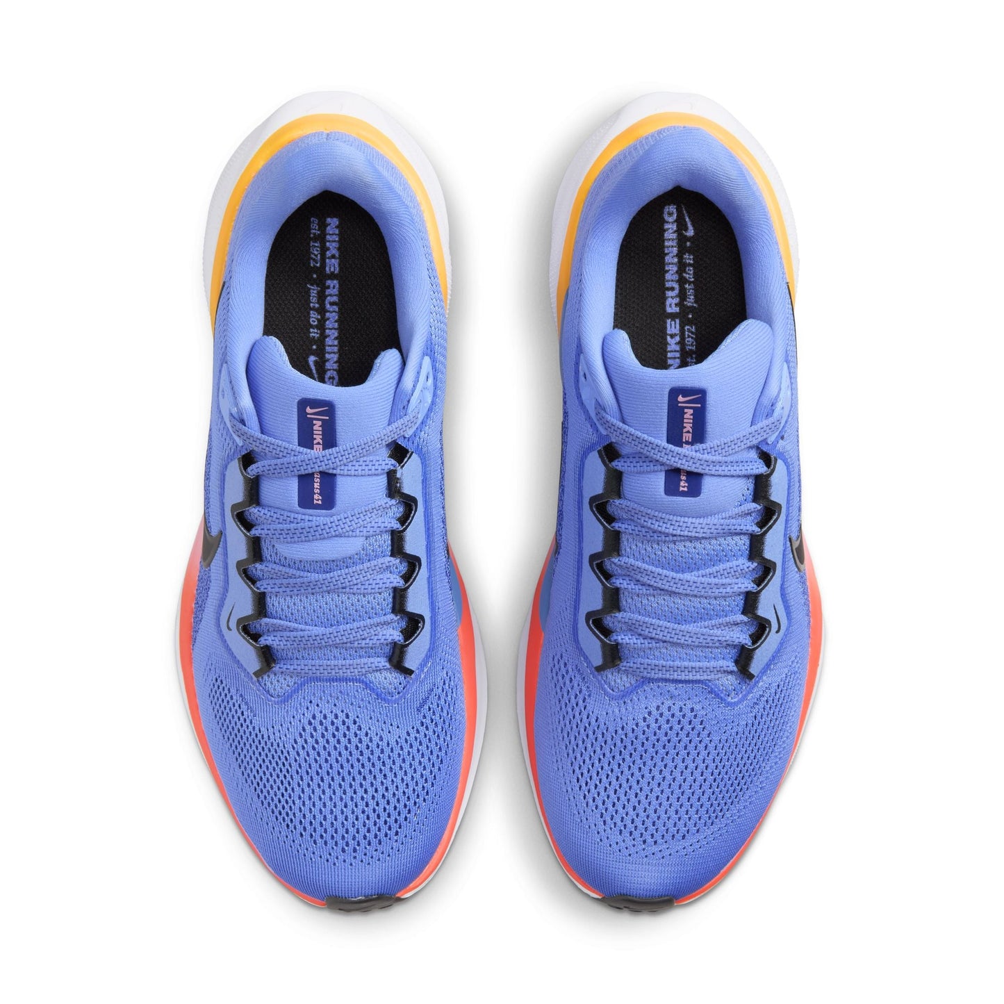  Women's Nike Pegasus 41 - FD2723-402
