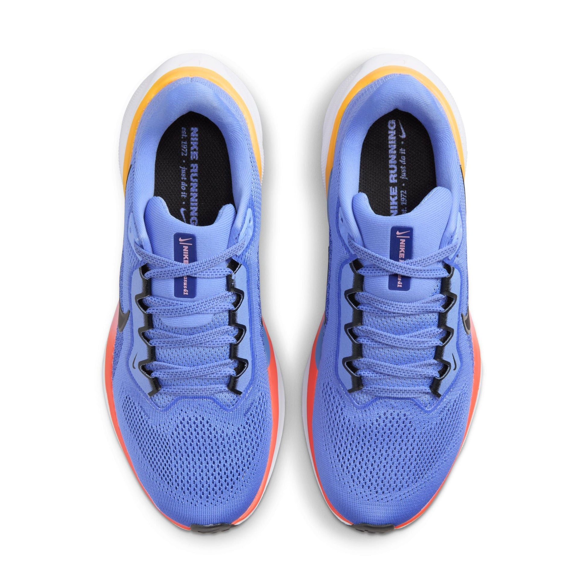  Women's Nike Pegasus 41 - FD2723-402