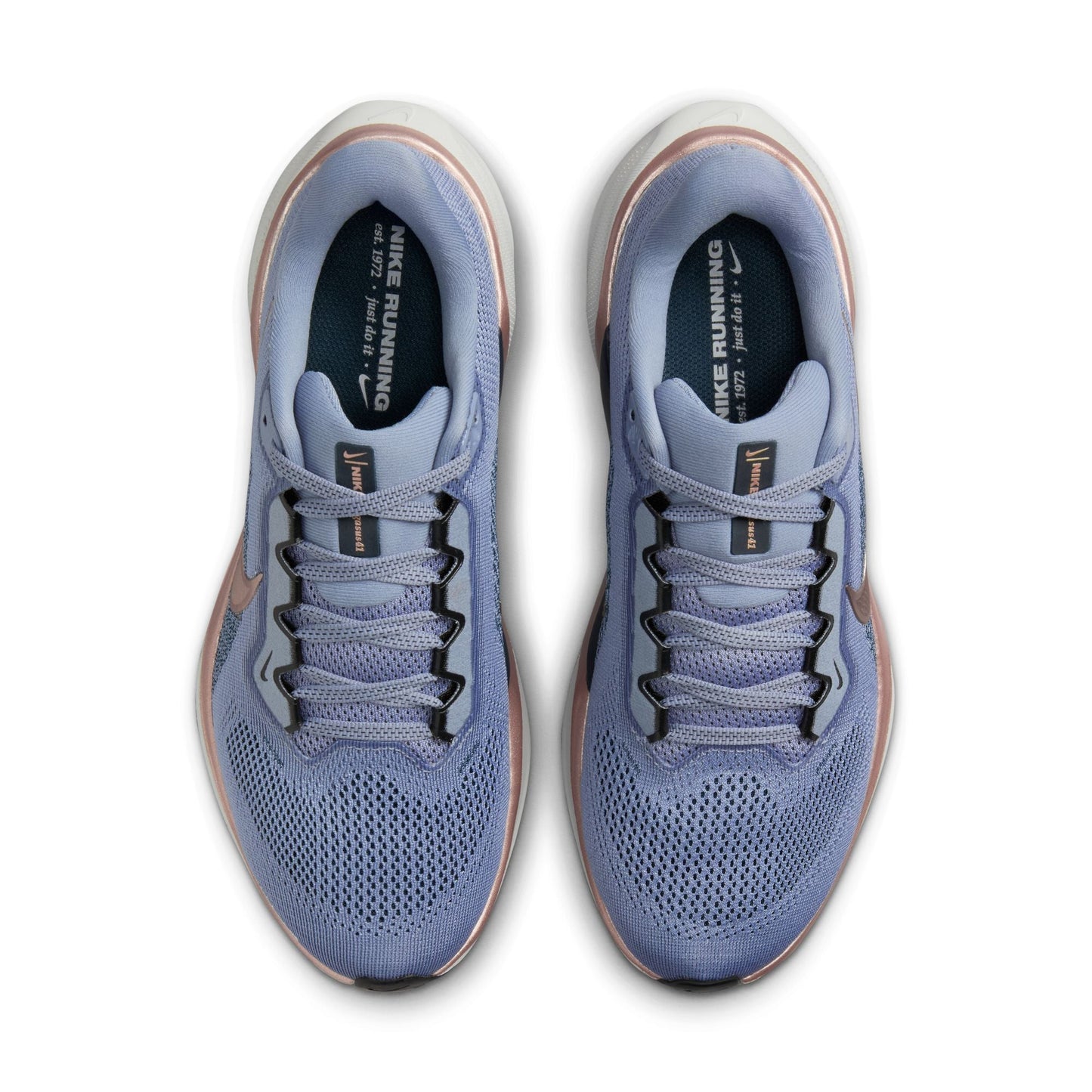  Women's Nike Pegasus 41 - FD2723-403