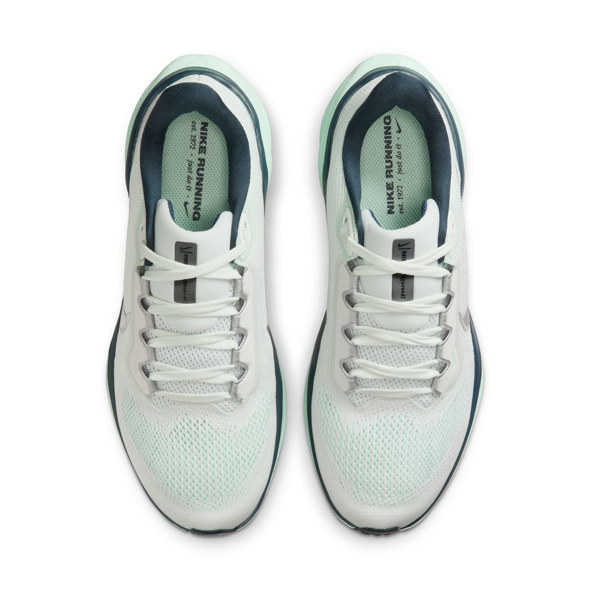  Women's Nike Pegasus 41 - FD2723-405