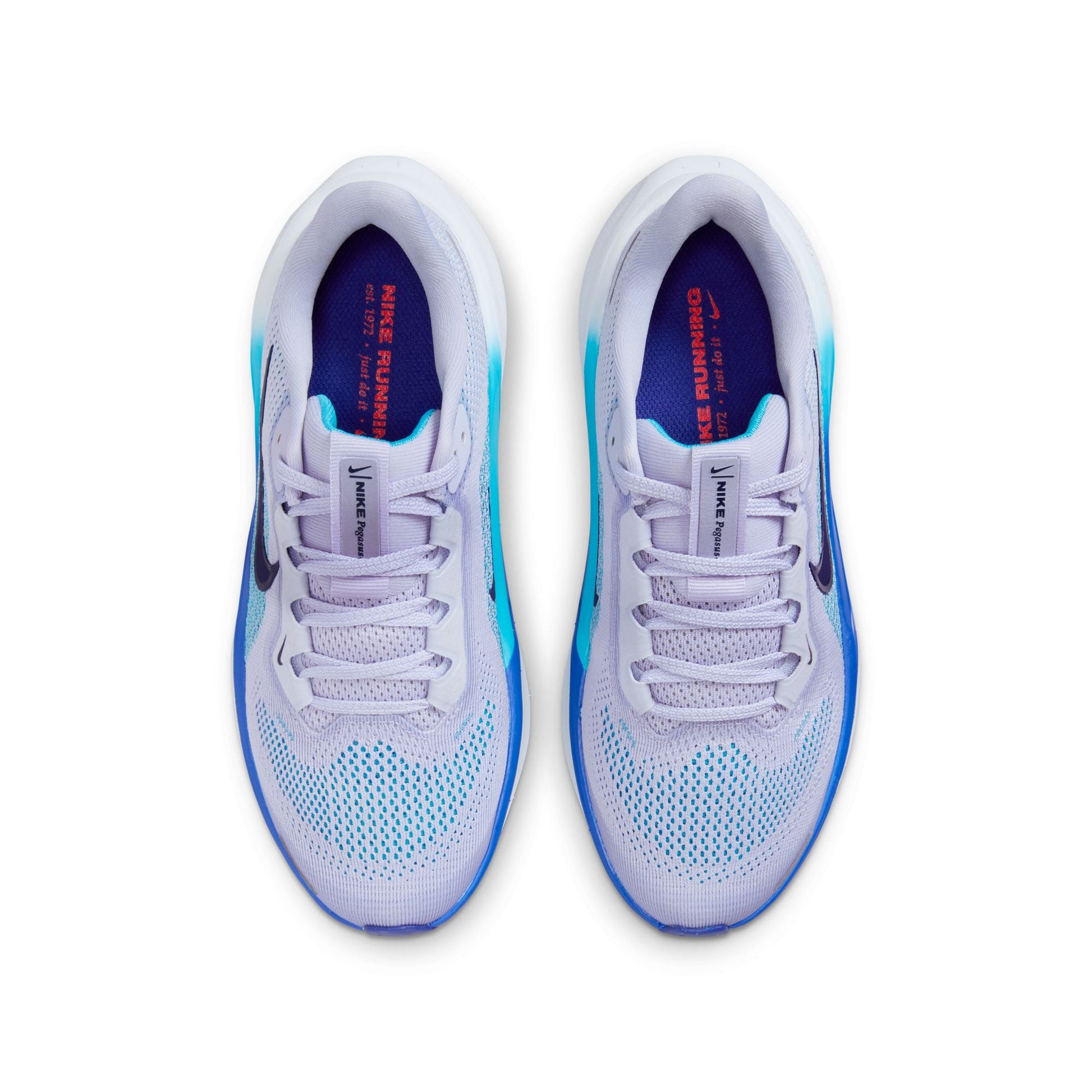  Kid's Nike Pegasus 41 - FN5041-004