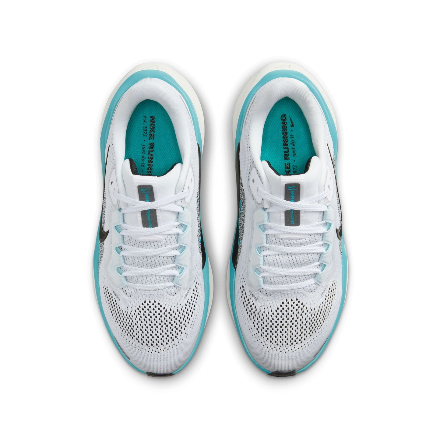  Kid's Nike Pegasus 41 - FN5041-103