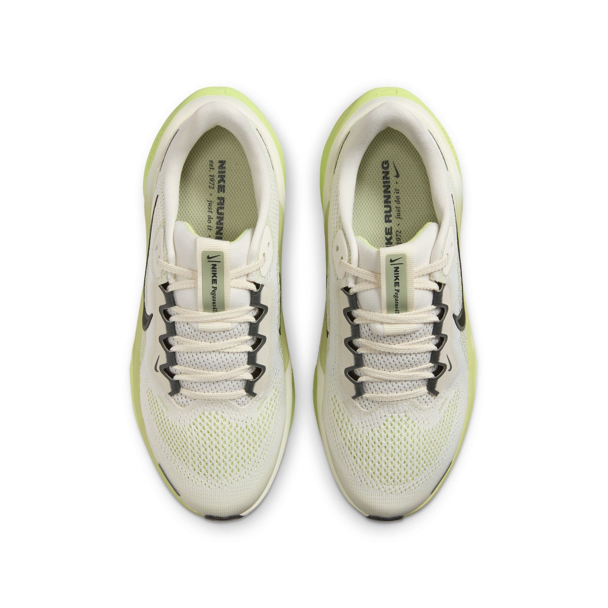  Kid's Nike Pegasus 41 - FN5041-106
