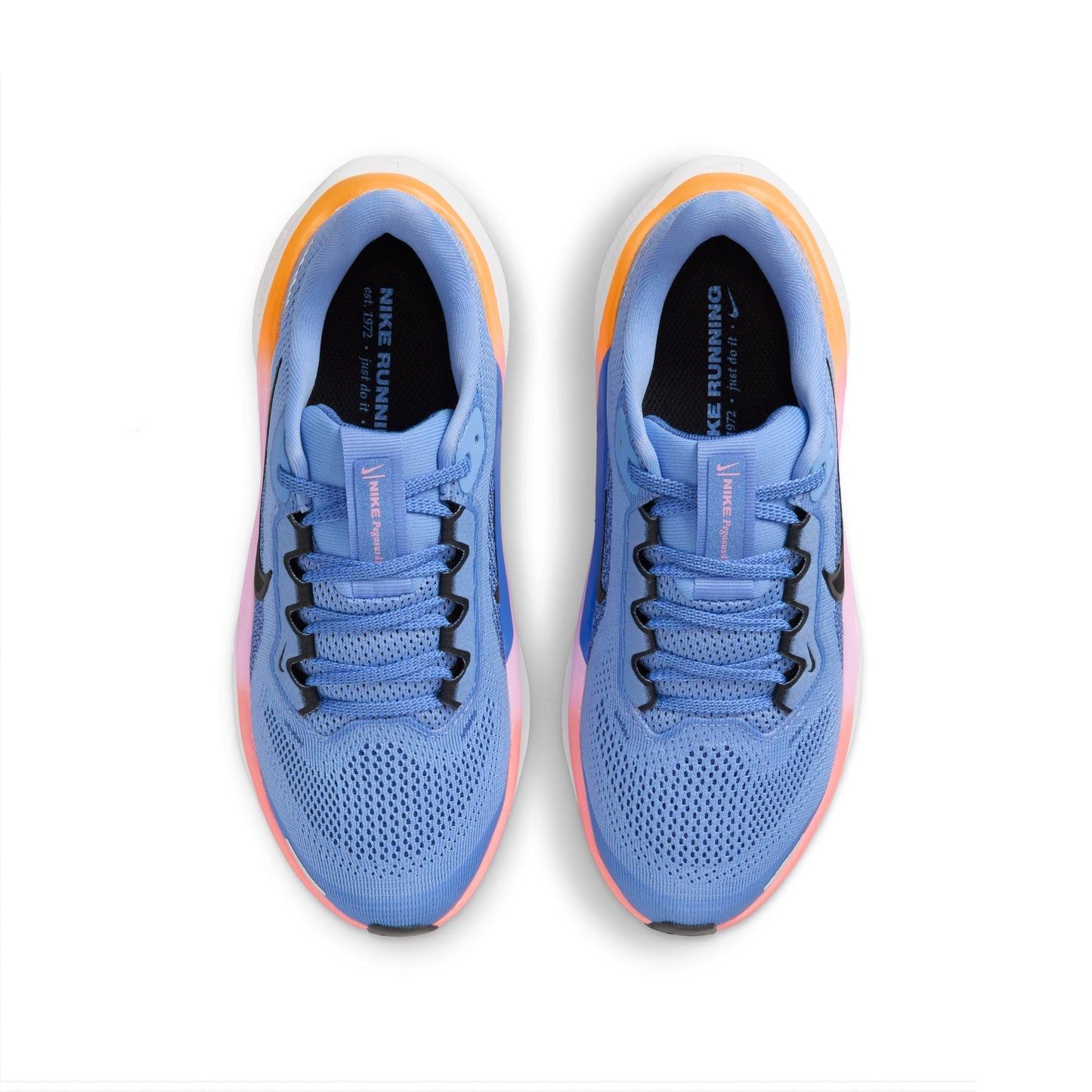  Kid's Nike Pegasus 41 - FN5041-403