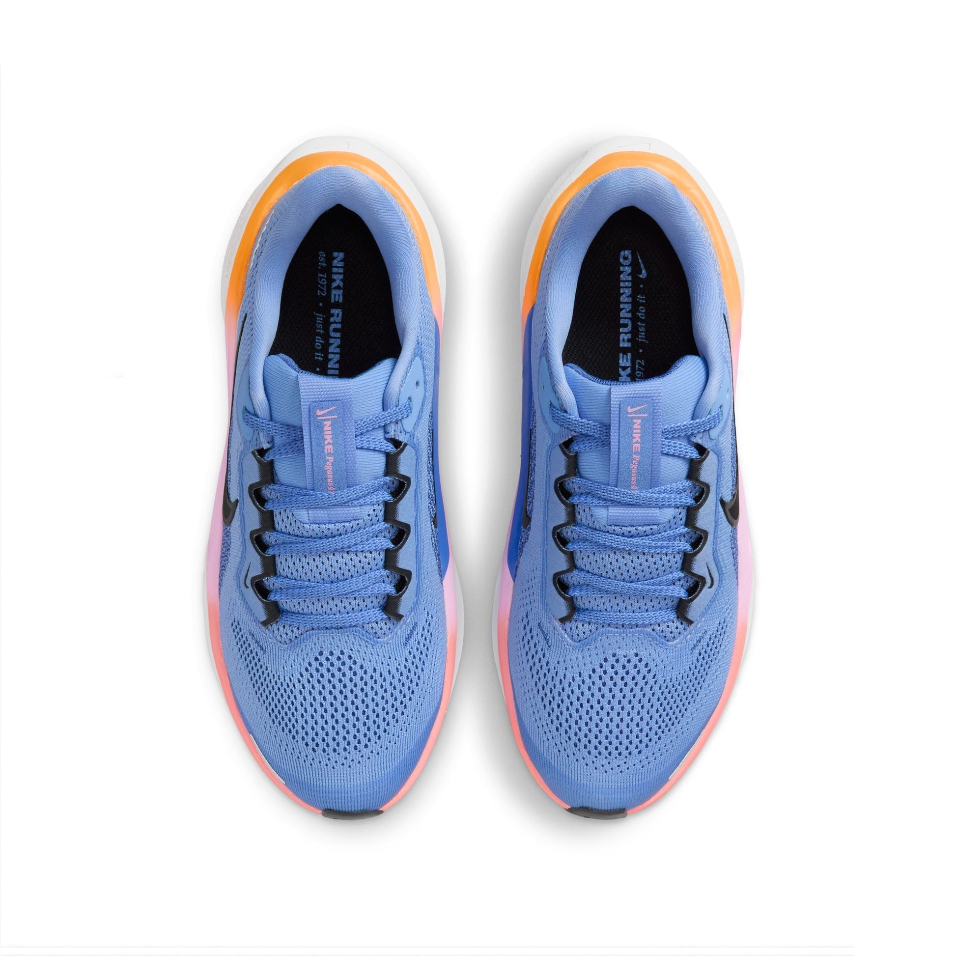  Kid's Nike Pegasus 41 - FN5041-403