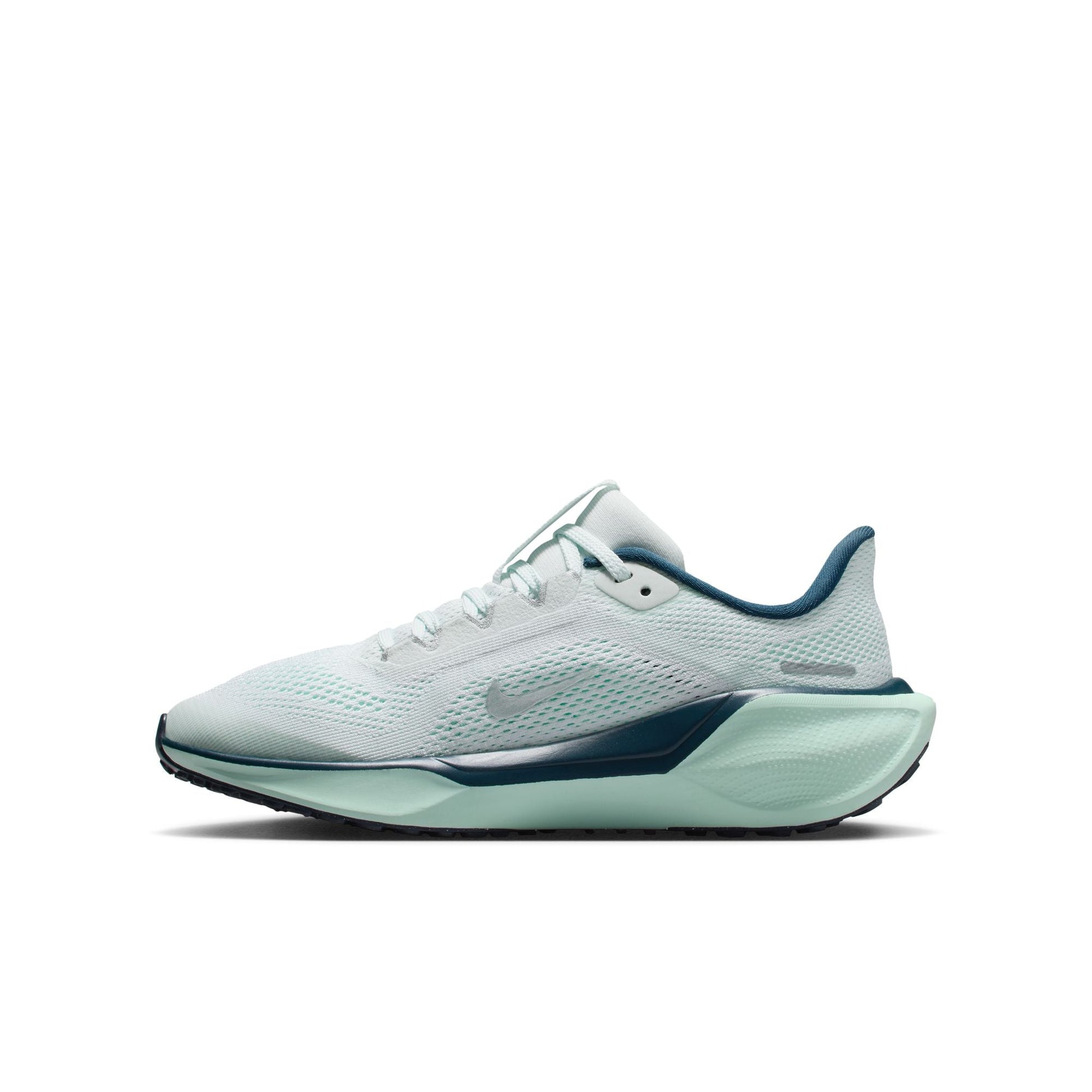  Kid's Nike Pegasus 41 - FN5041-404