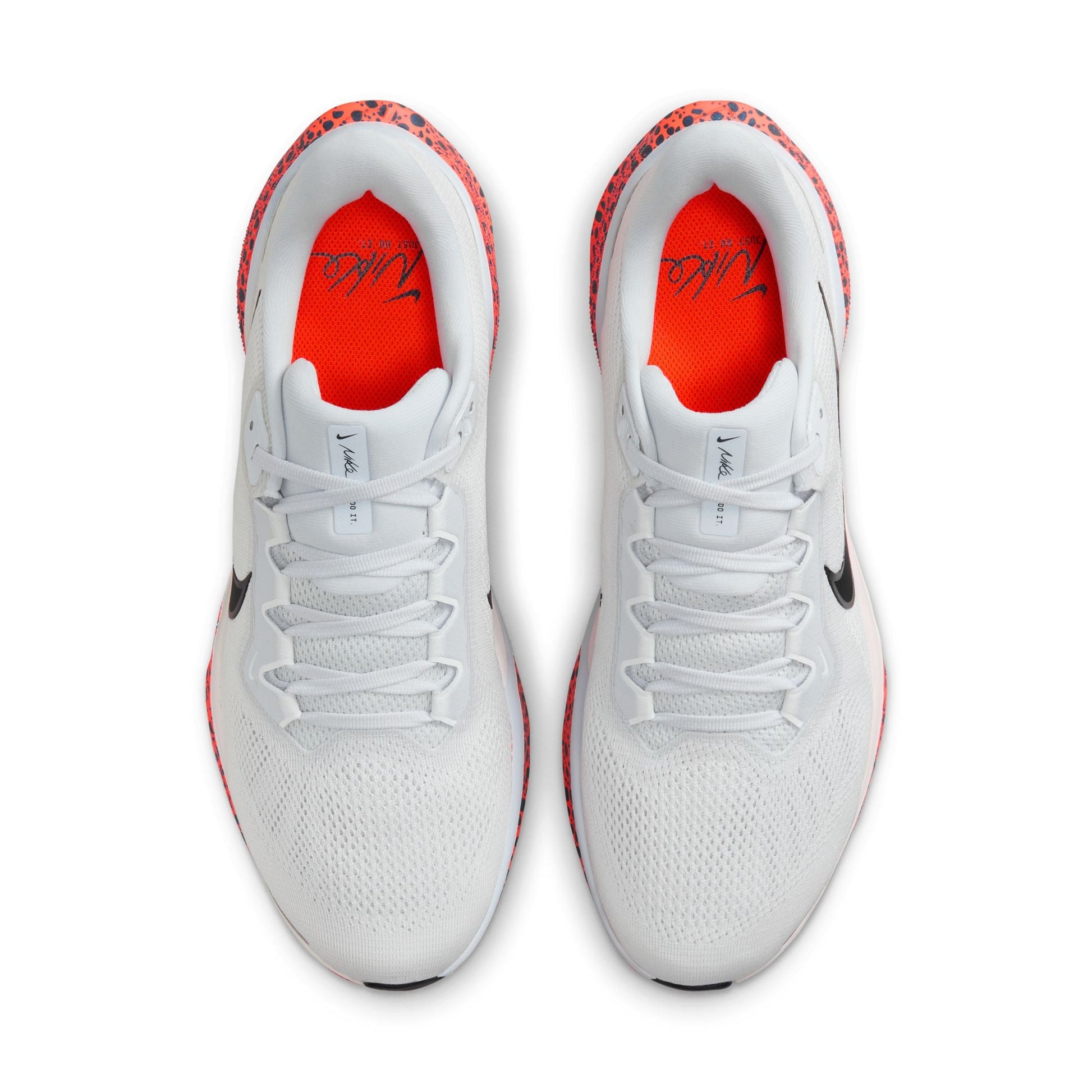  Men's Nike Pegasus 41 - FV2229-900