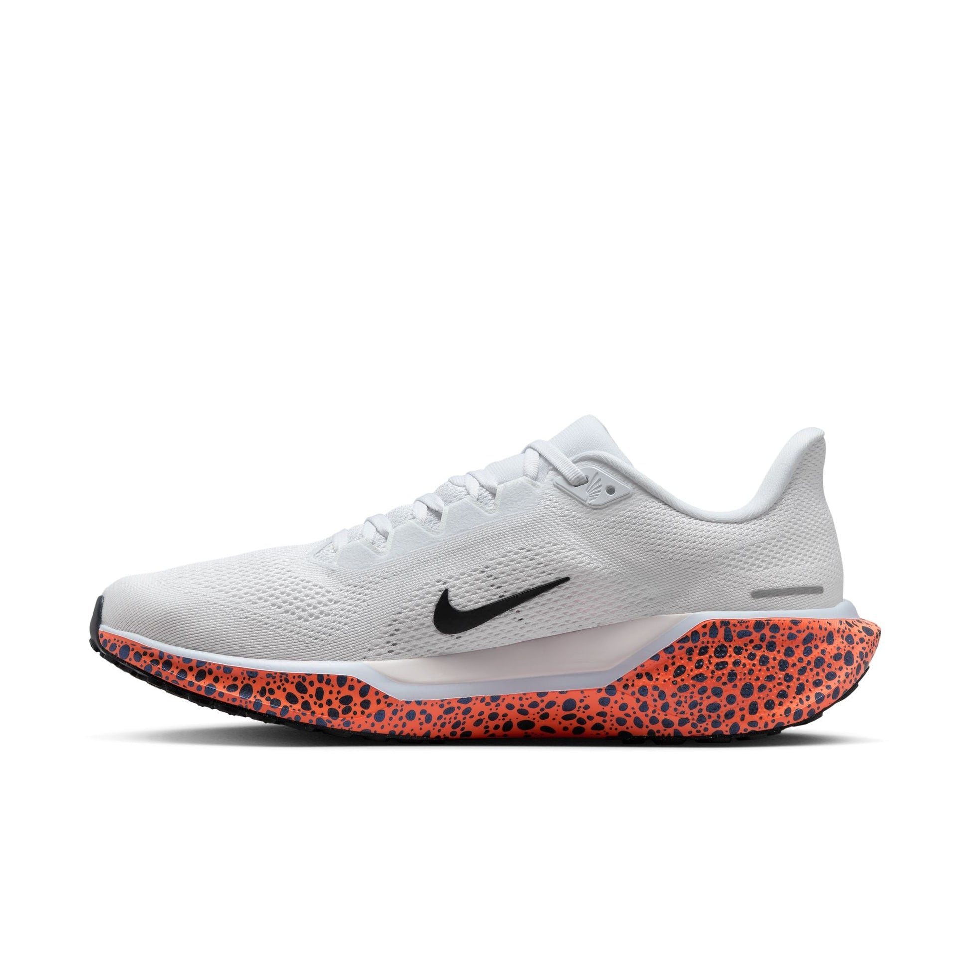  Men's Nike Pegasus 41 - FV2229-900