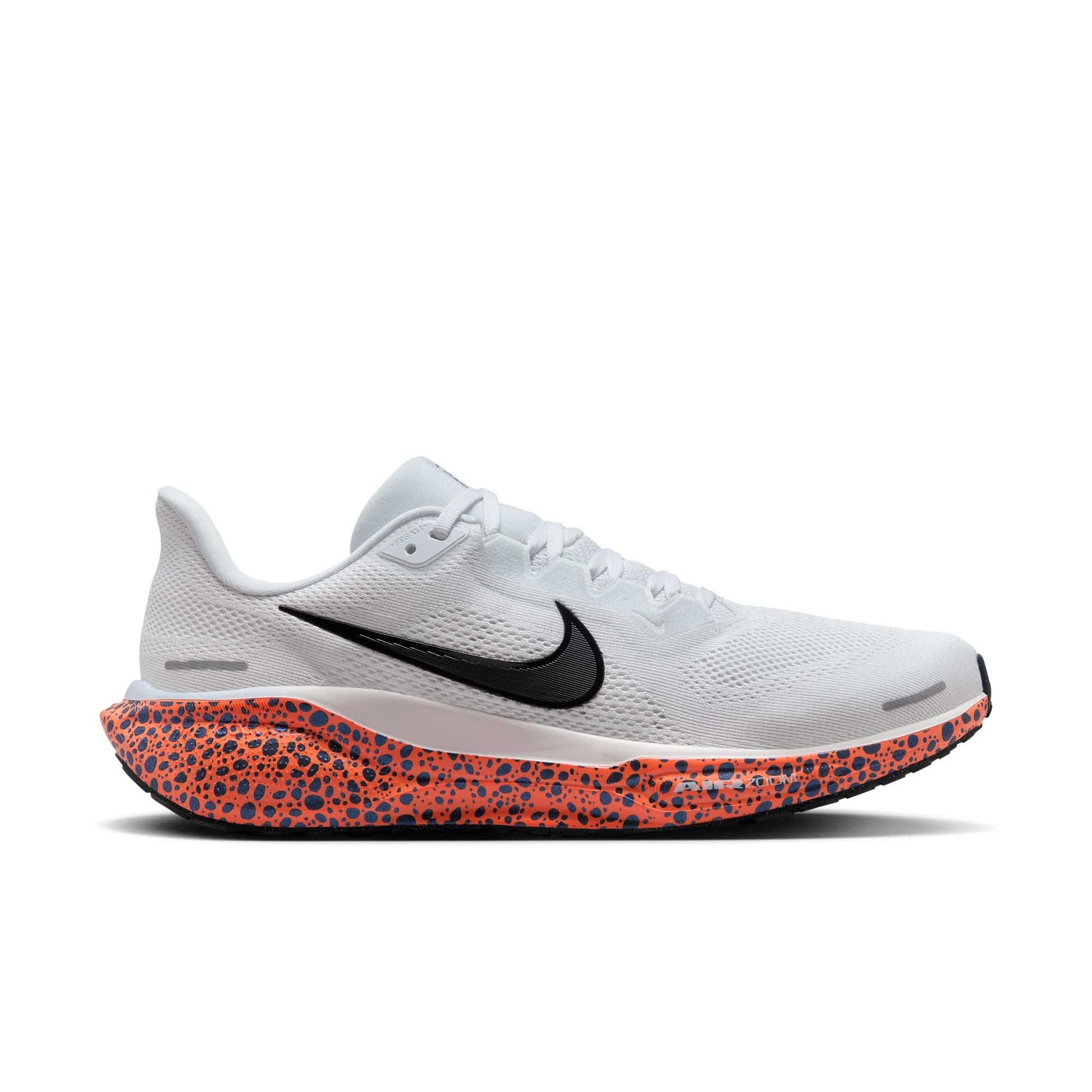  Men's Nike Pegasus 41 - FV2229-900