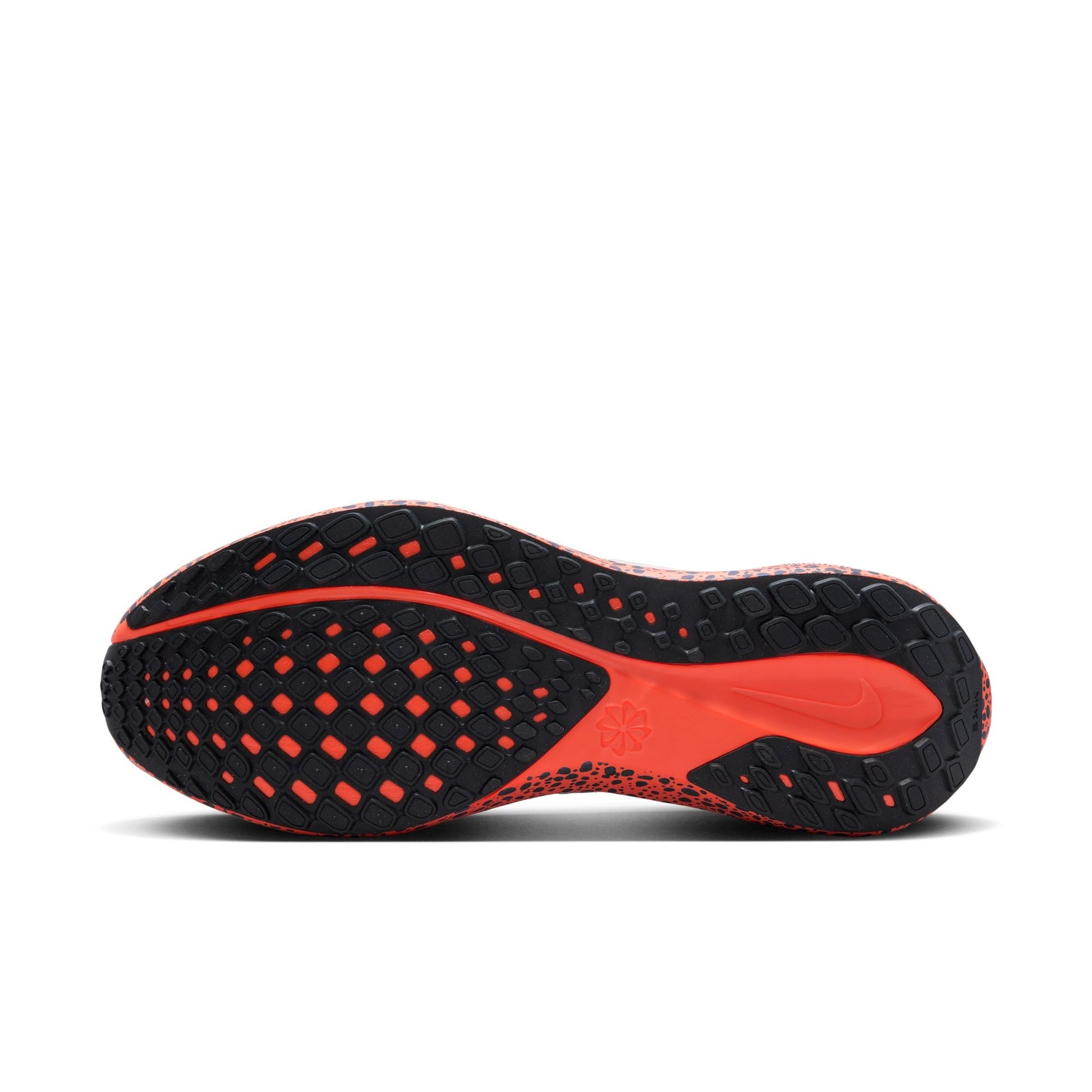  Men's Nike Pegasus 41 - FV2229-900