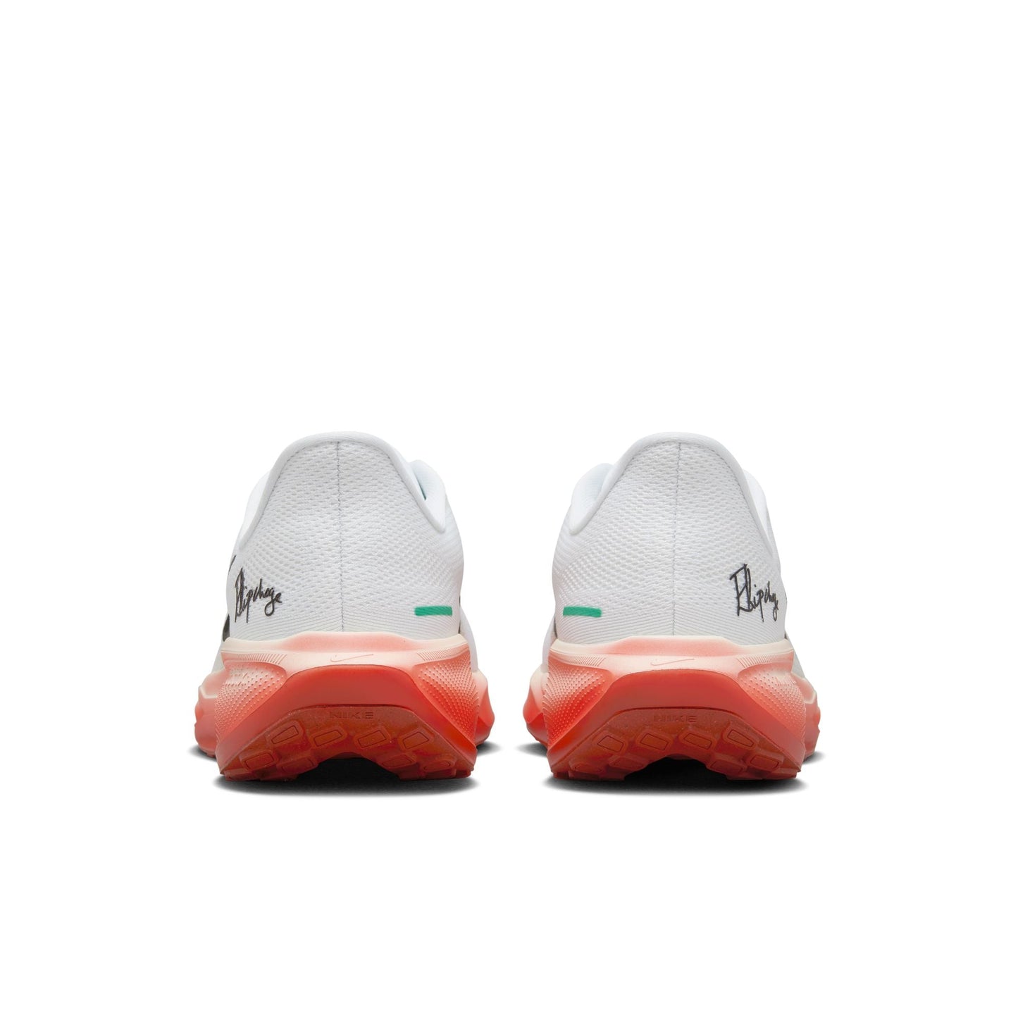  Men's Nike Pegasus 41 - HJ7037-100