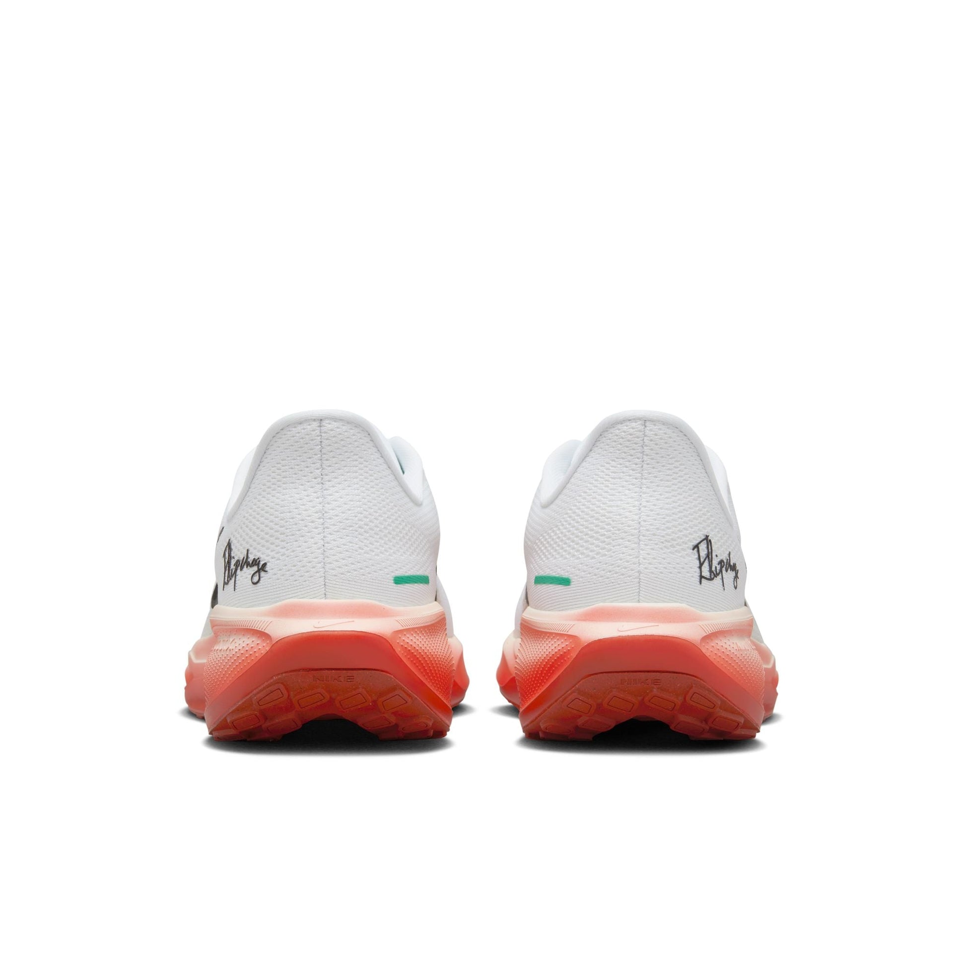  Men's Nike Pegasus 41 - HJ7037-100