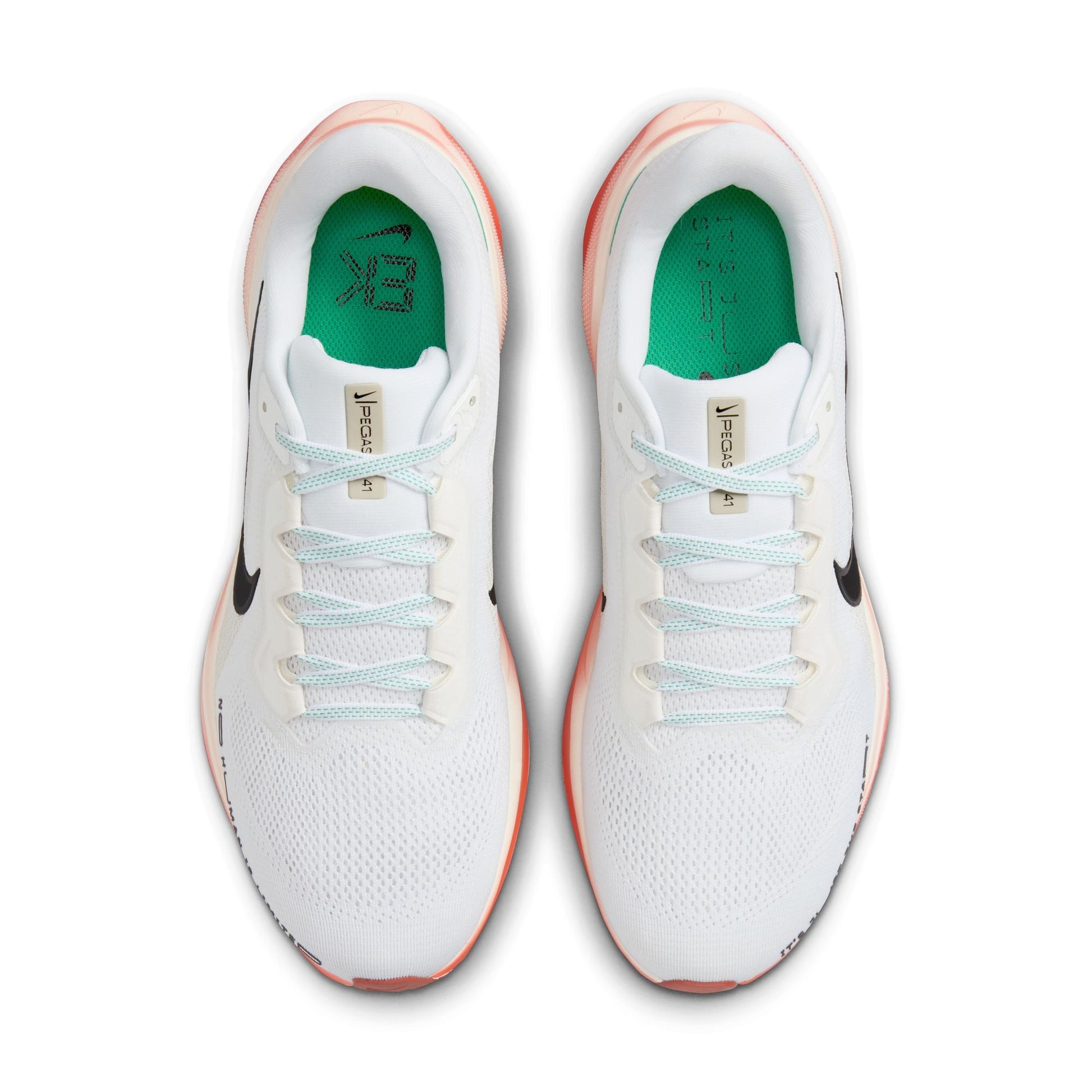  Men's Nike Pegasus 41 - HJ7037-100