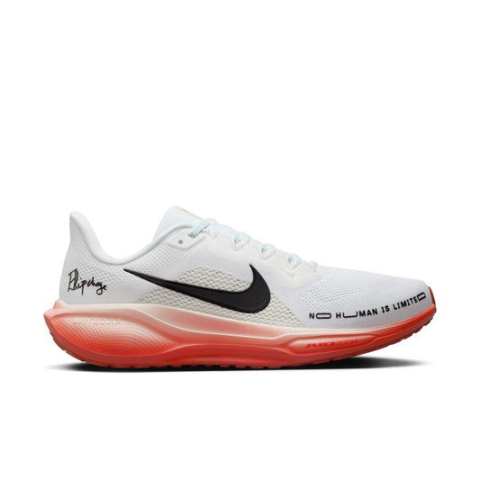  Men's Nike Pegasus 41 - HJ7037-100