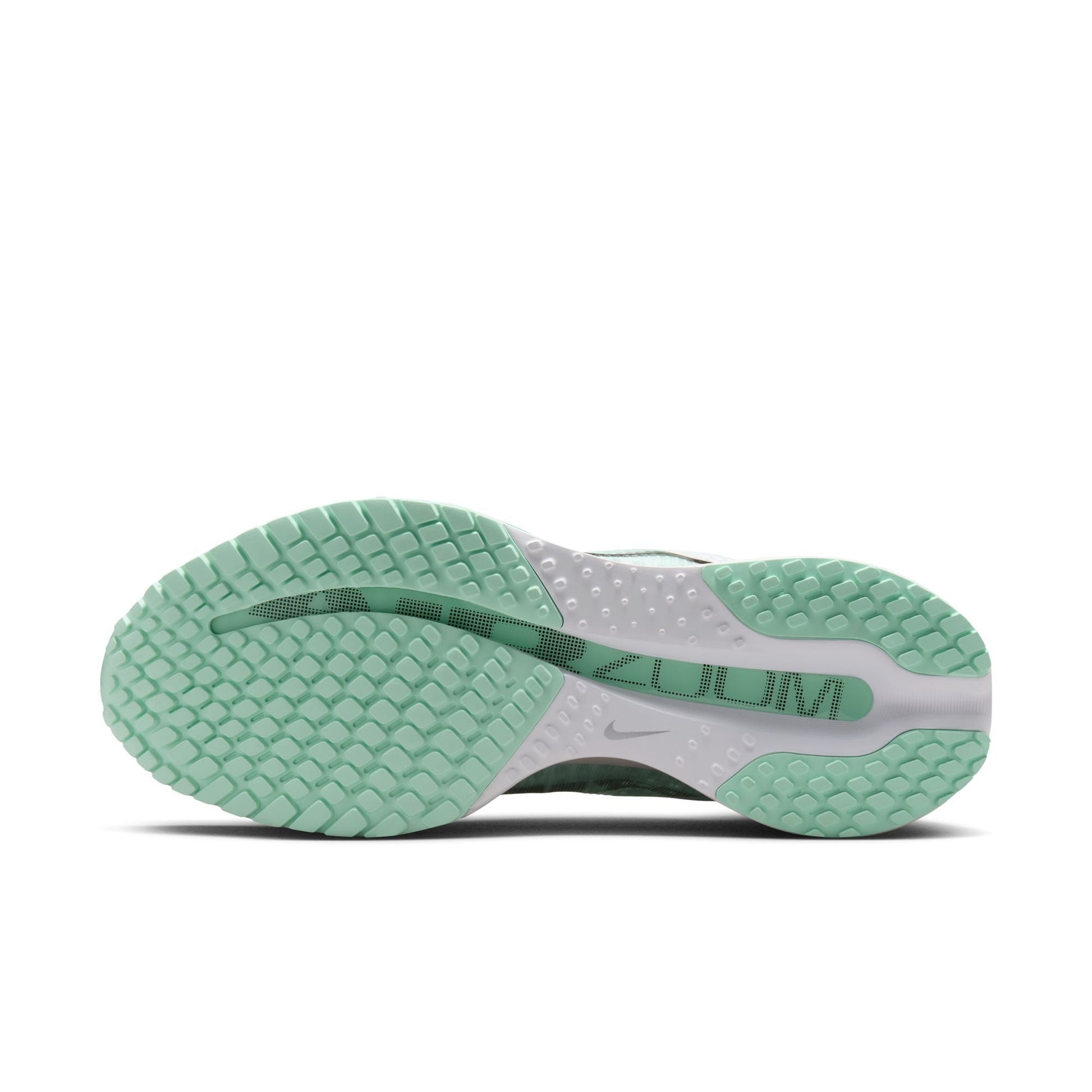  Women's Nike Pegasus Premium