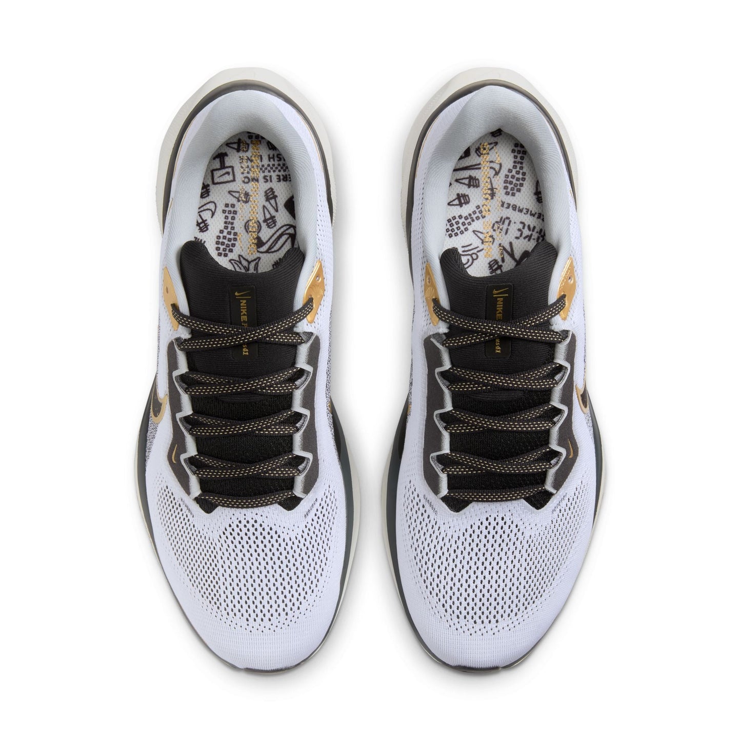  Men's Nike Pegasus 41 - HQ3220-100