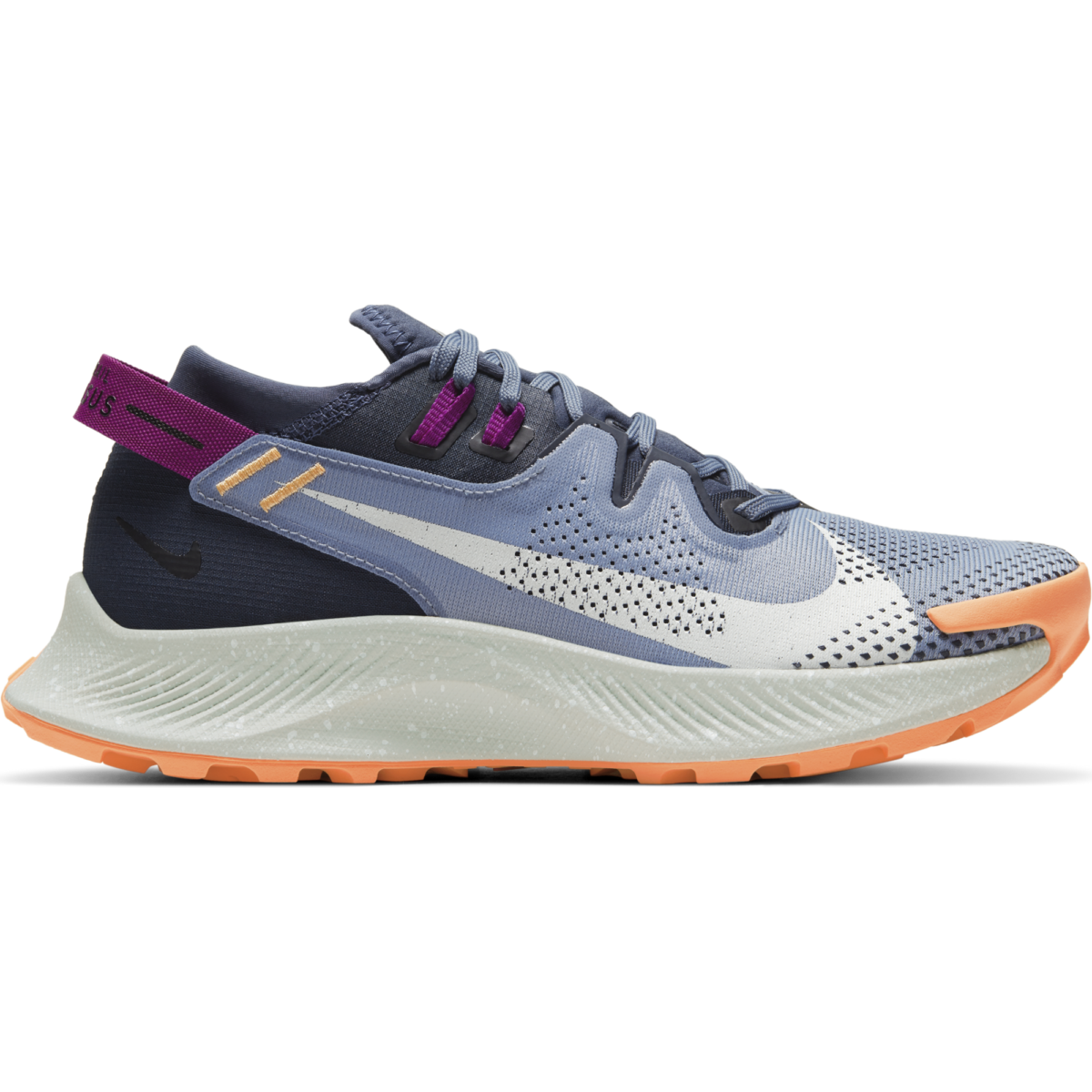 Women's Nike Pegasus Trail 2 - CK4309-401